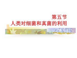 人类对细菌和真菌的利用 (2)