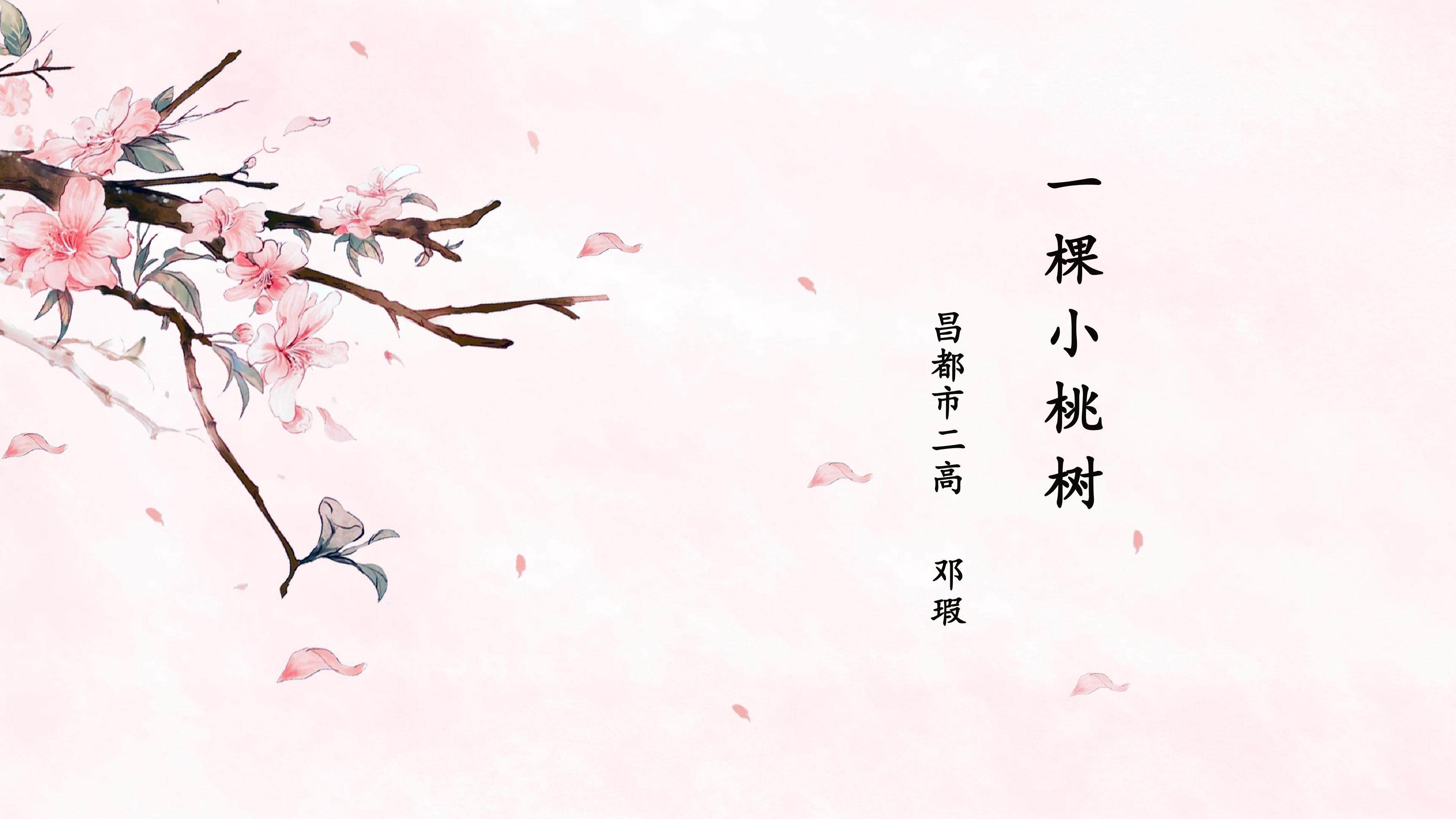 一棵小桃树