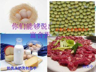 生命活动的承担者——蛋白质