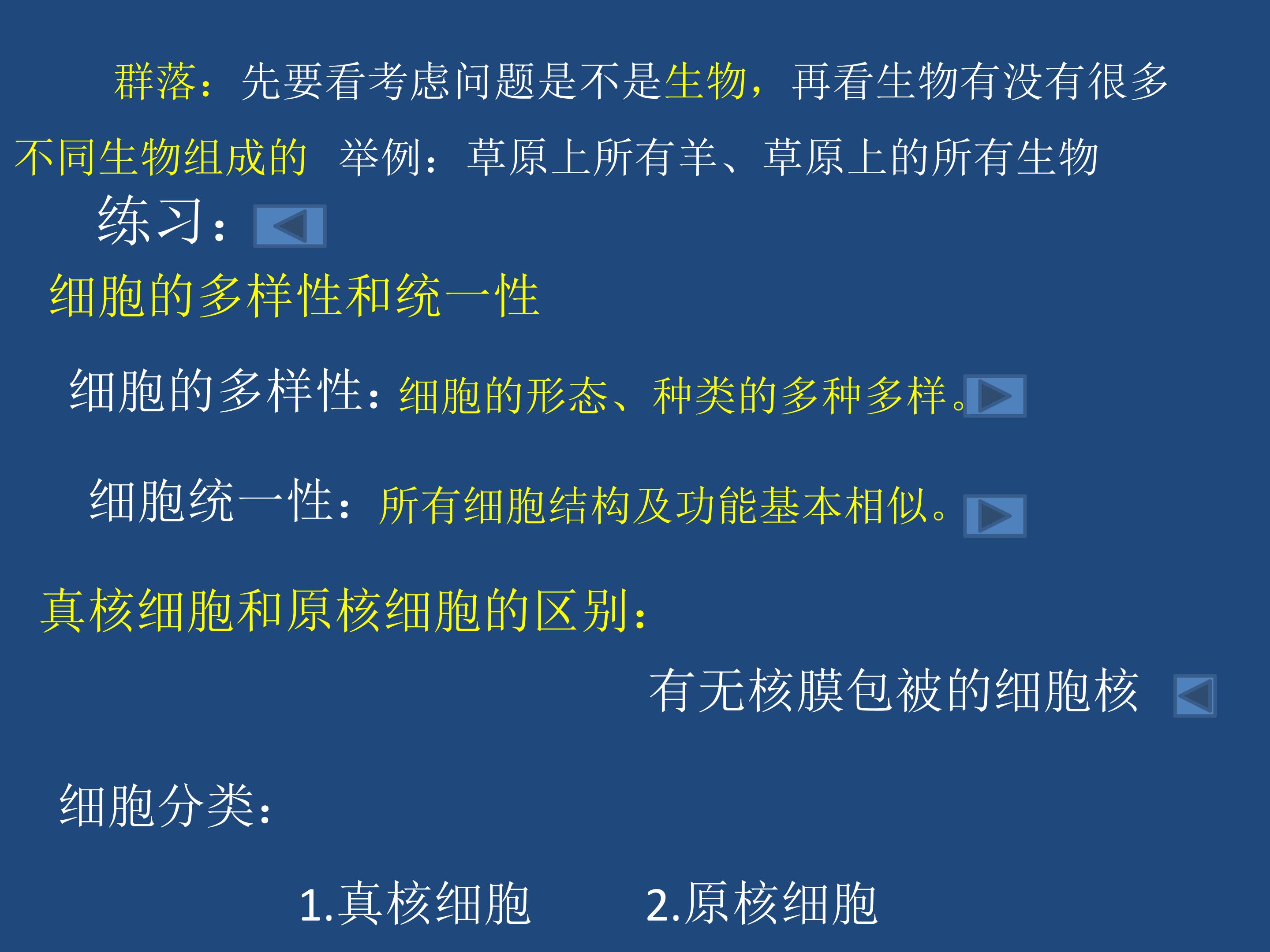 60.jpg