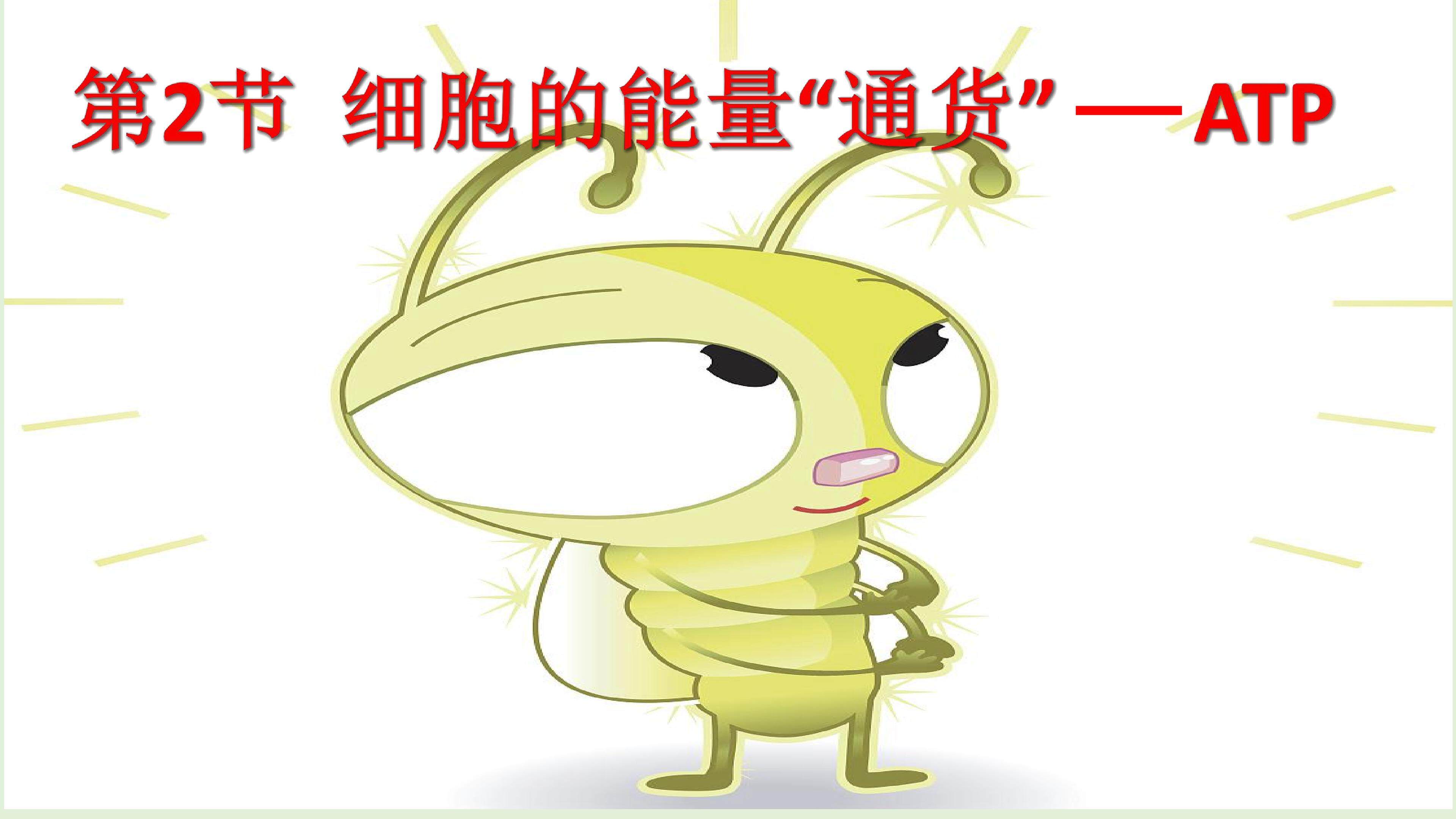 细胞的能量“通货”——ATP
