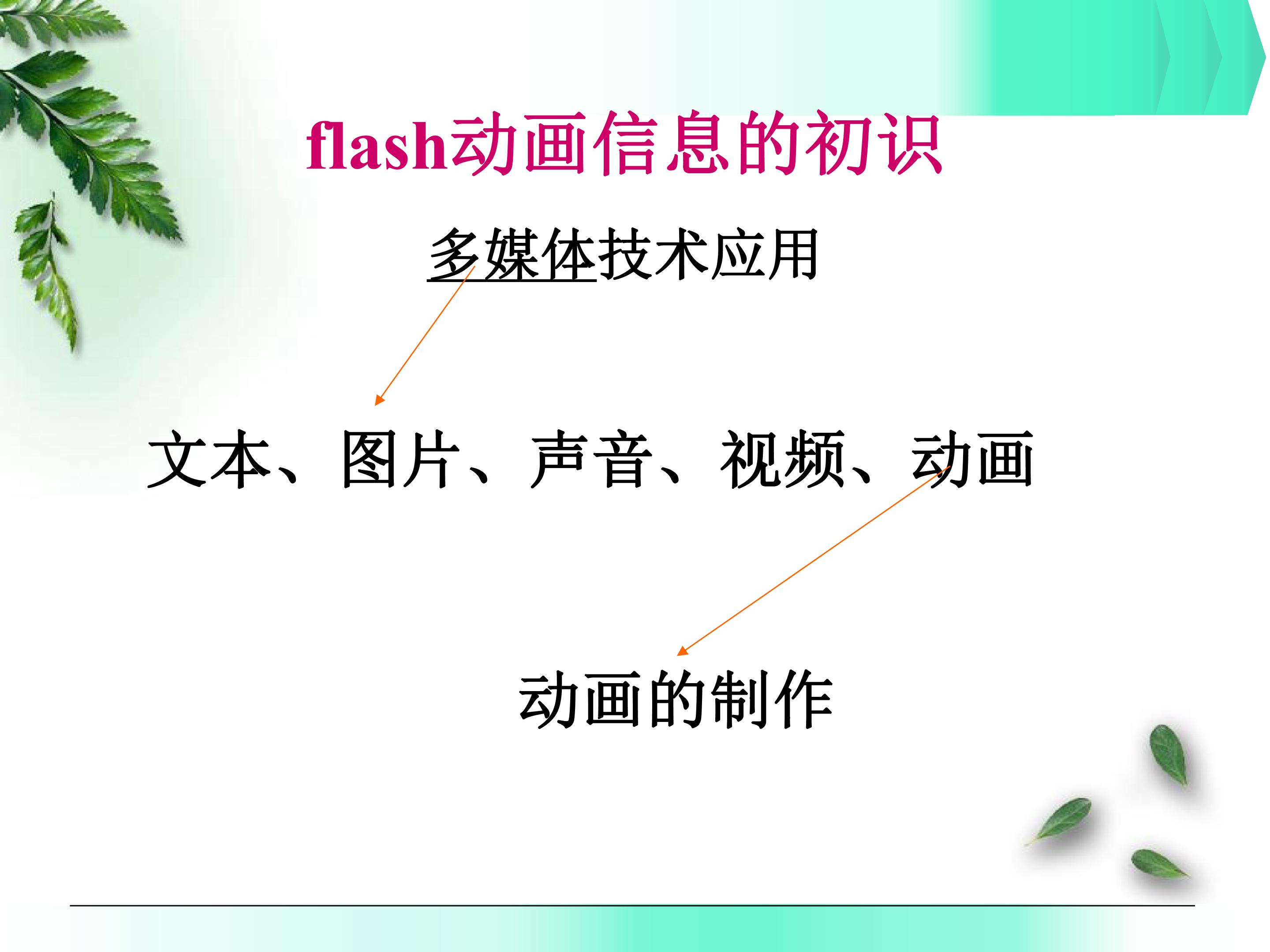 flash动画信息的初识