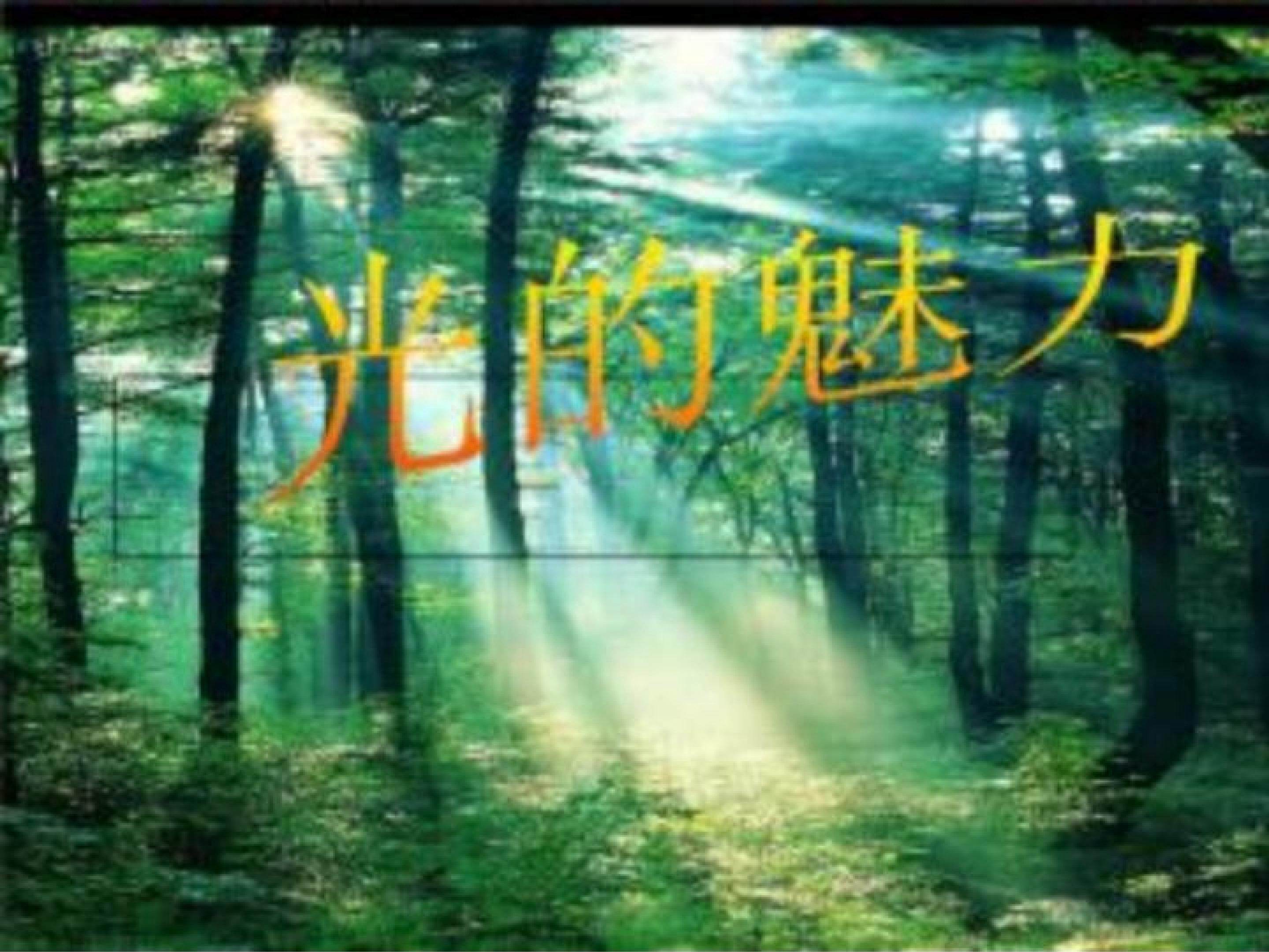 光的魅力