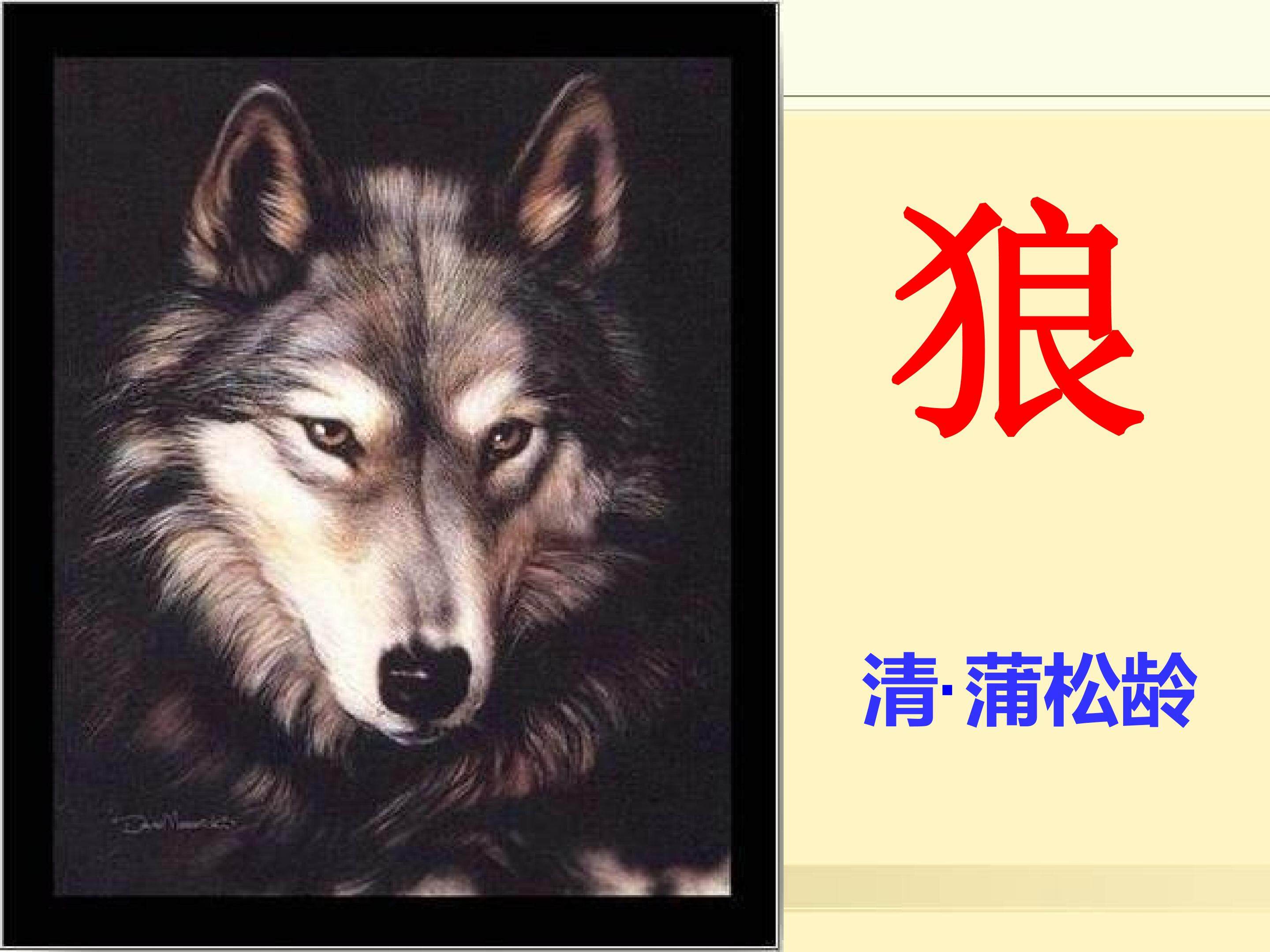 狼