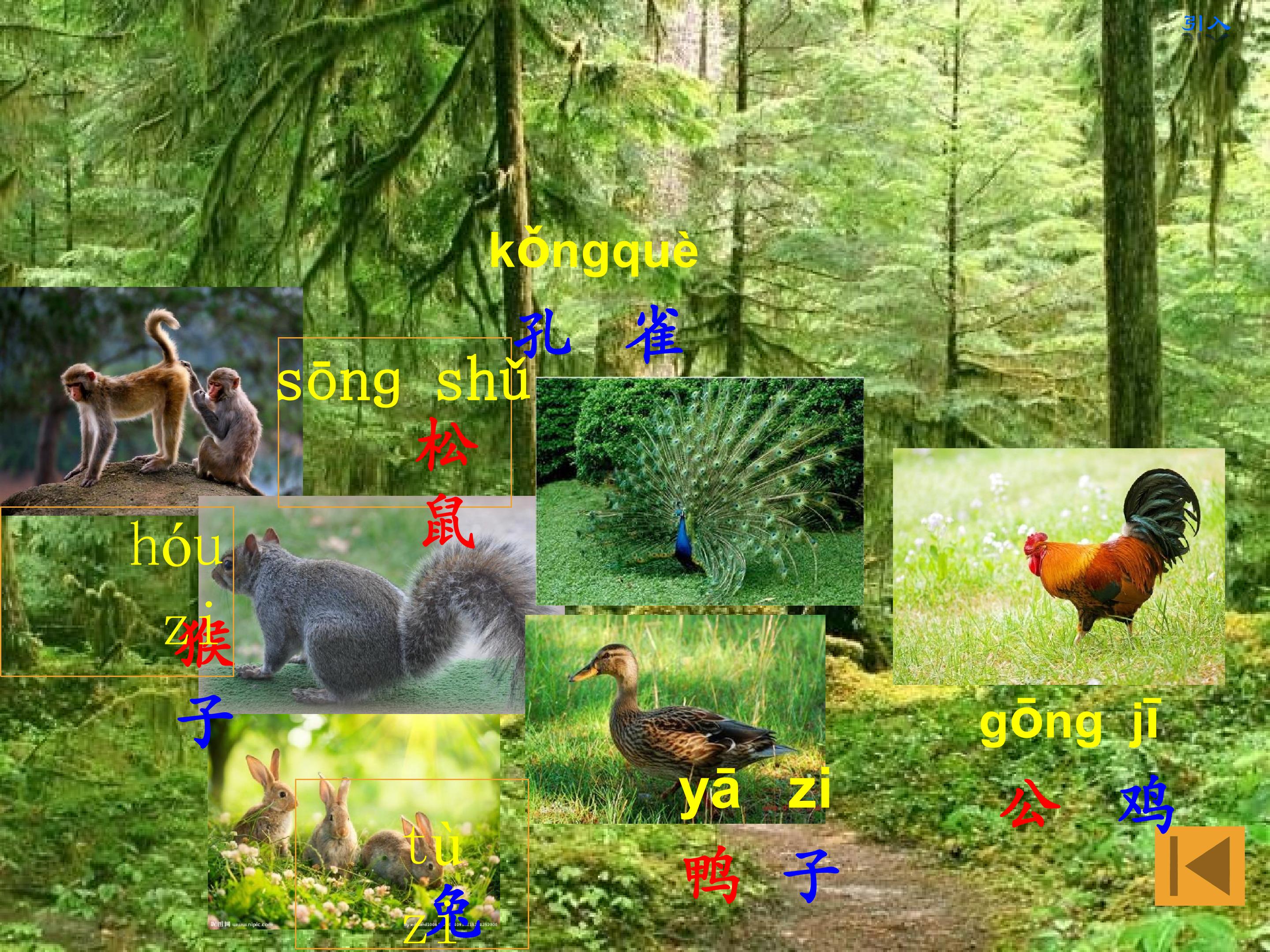 3.jpg