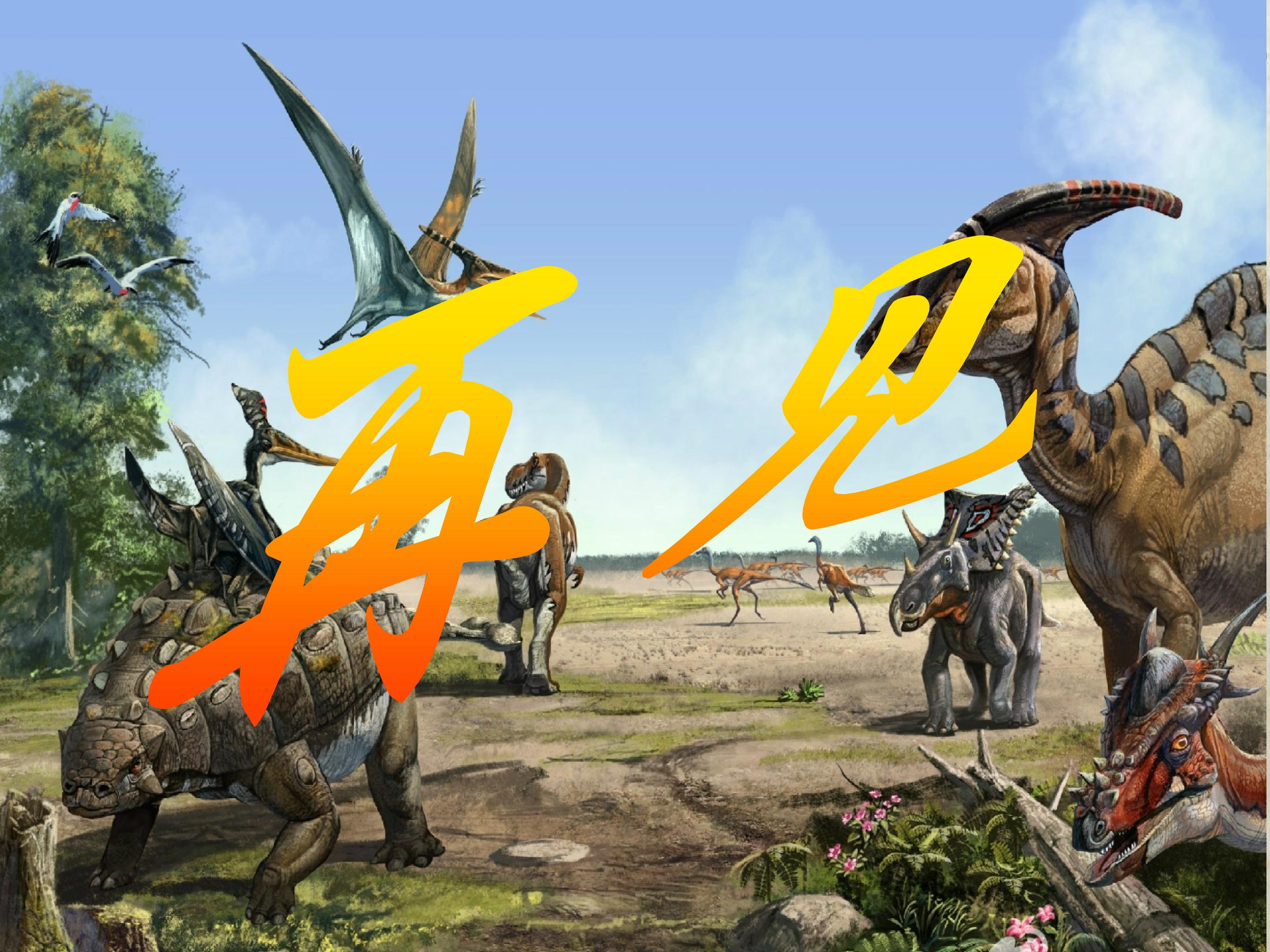 44.jpg
