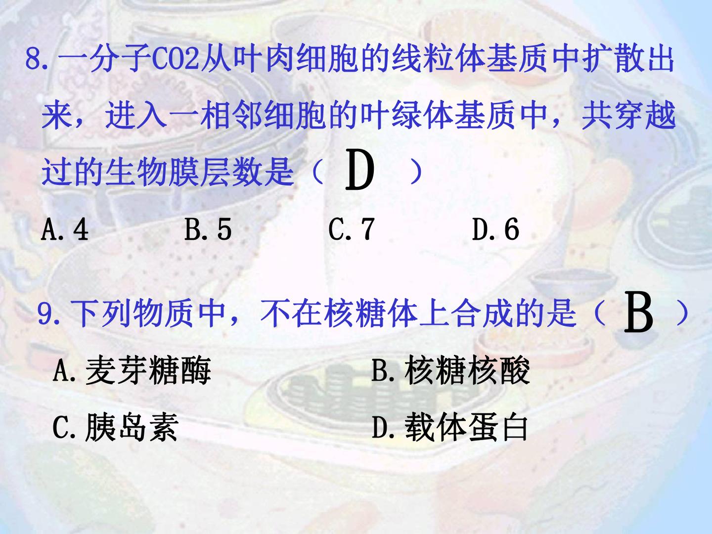 35.jpg