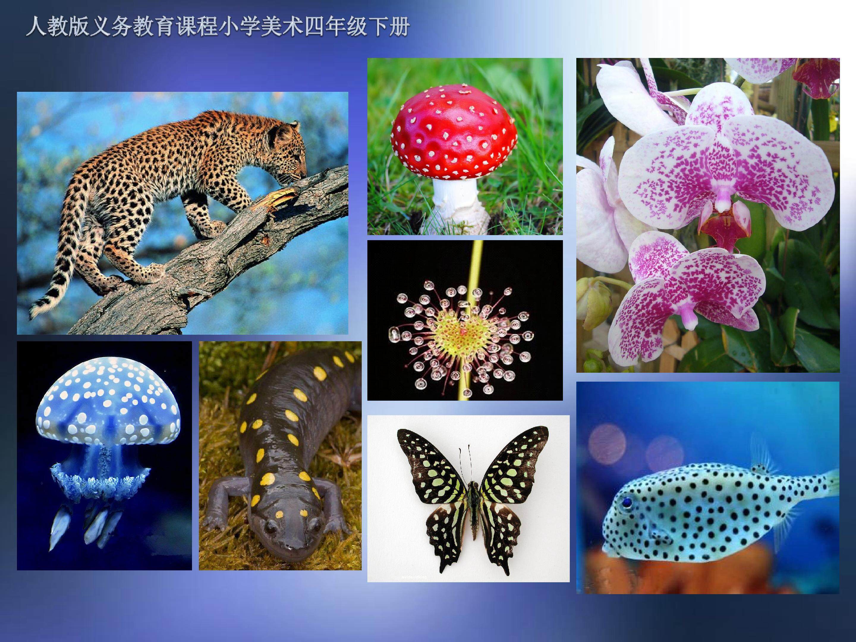 点的魅力