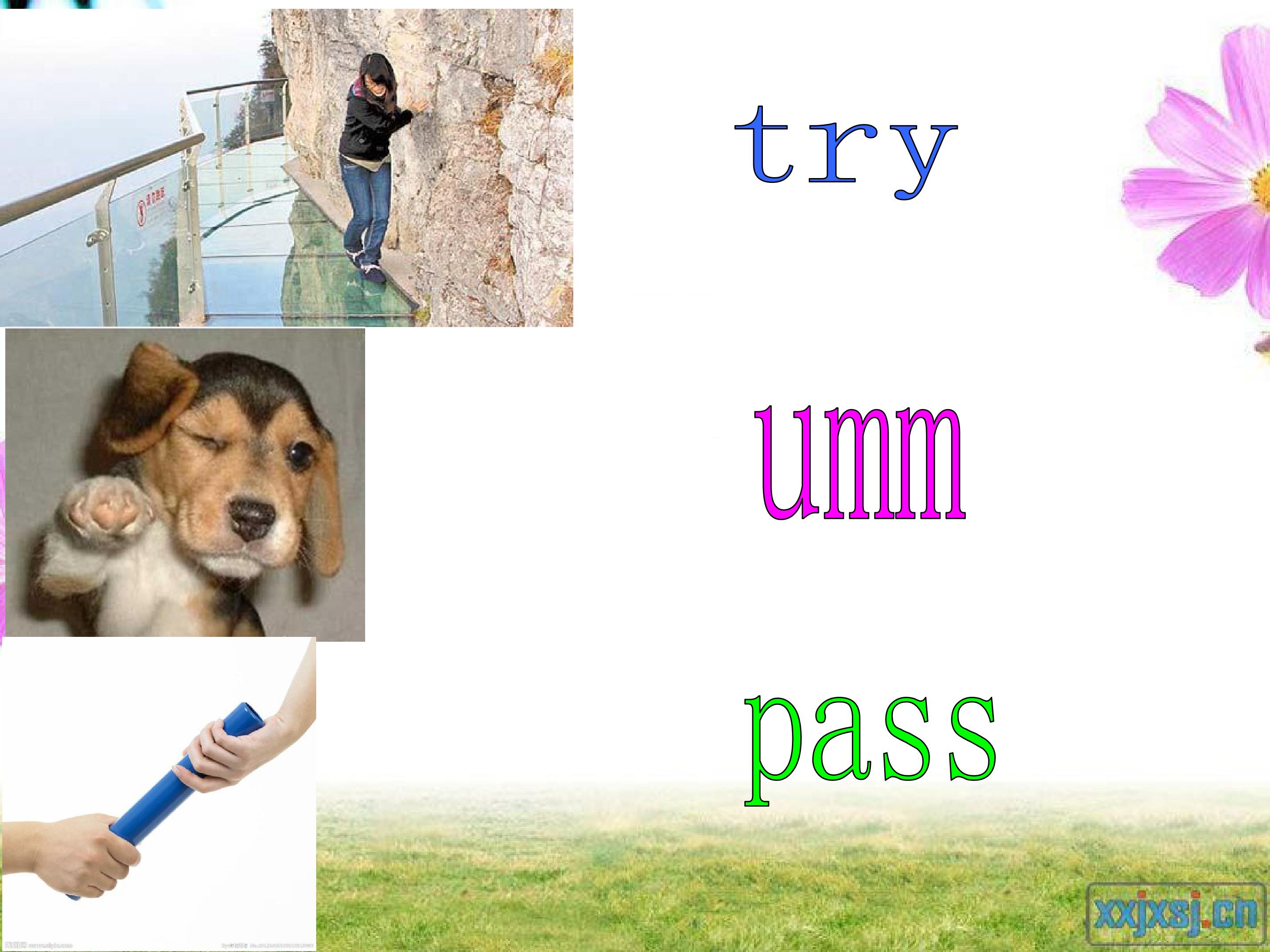 16.jpg