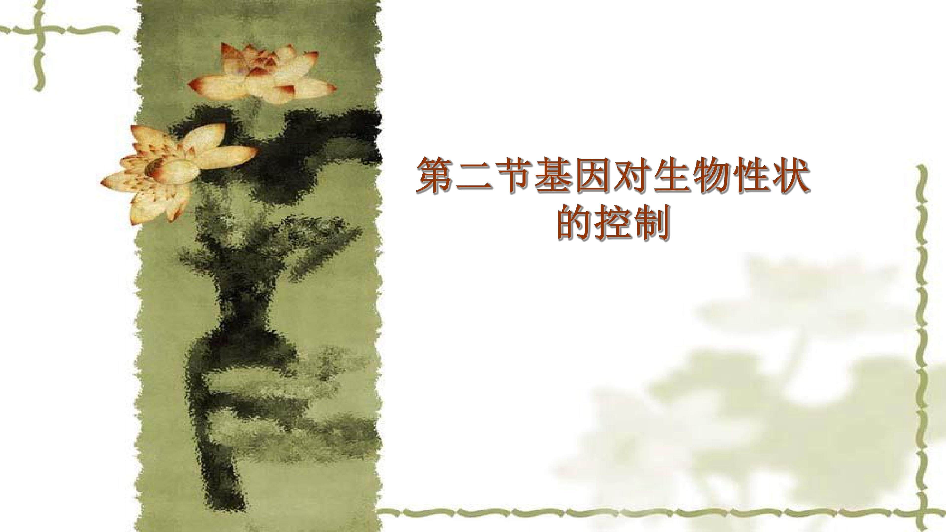 基因对生物性状的控制