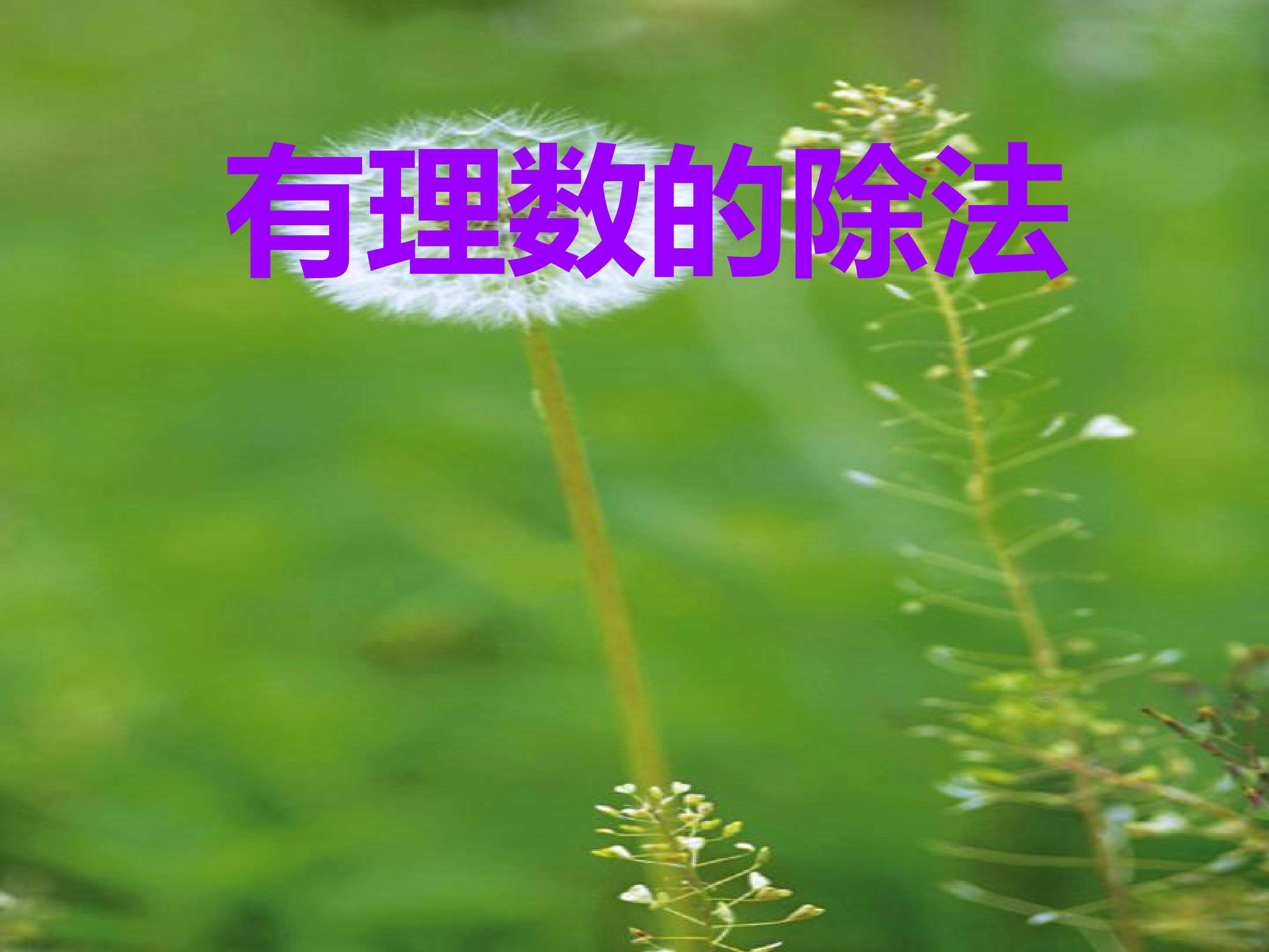 有理数的除法