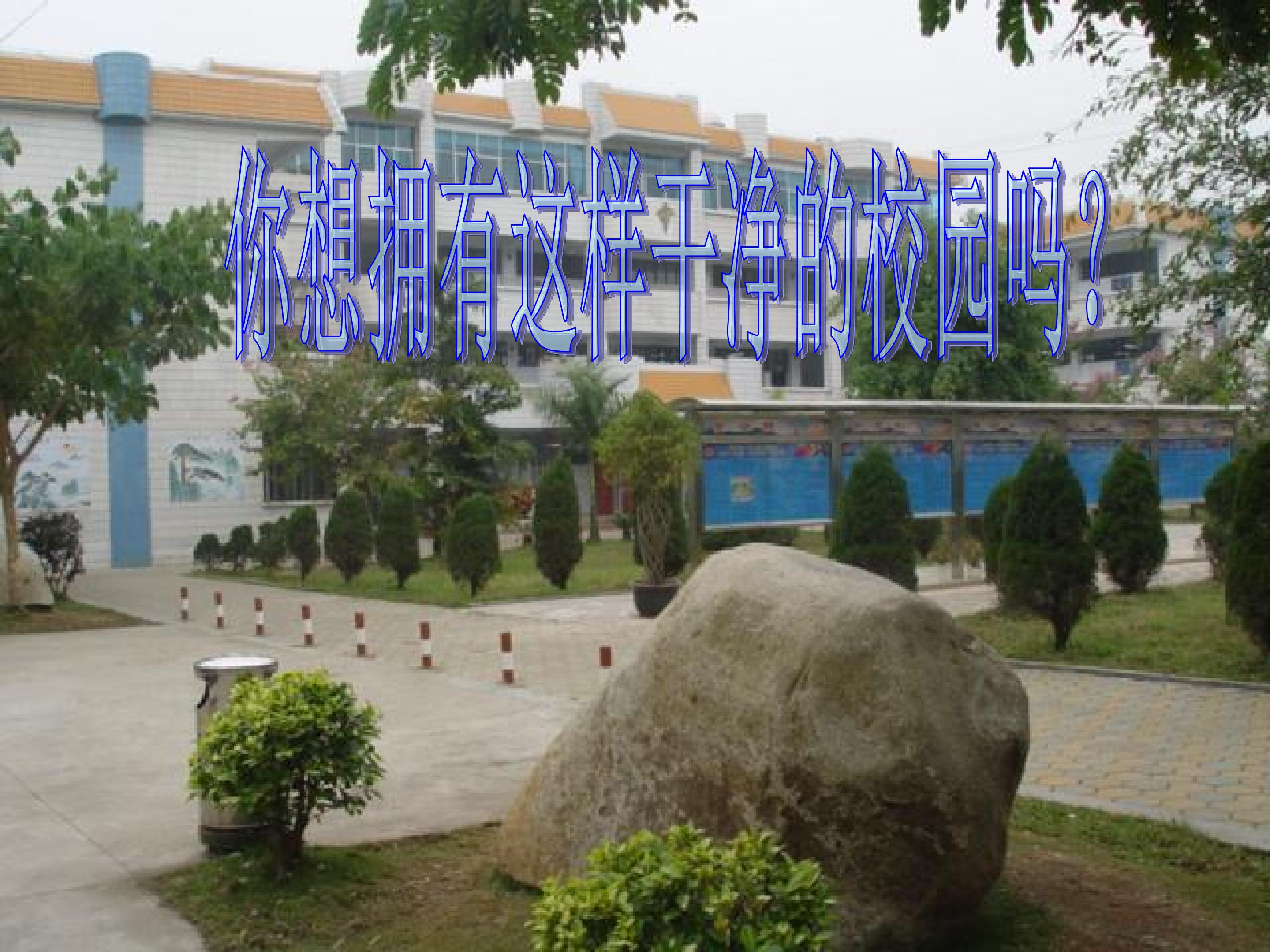 45.jpg