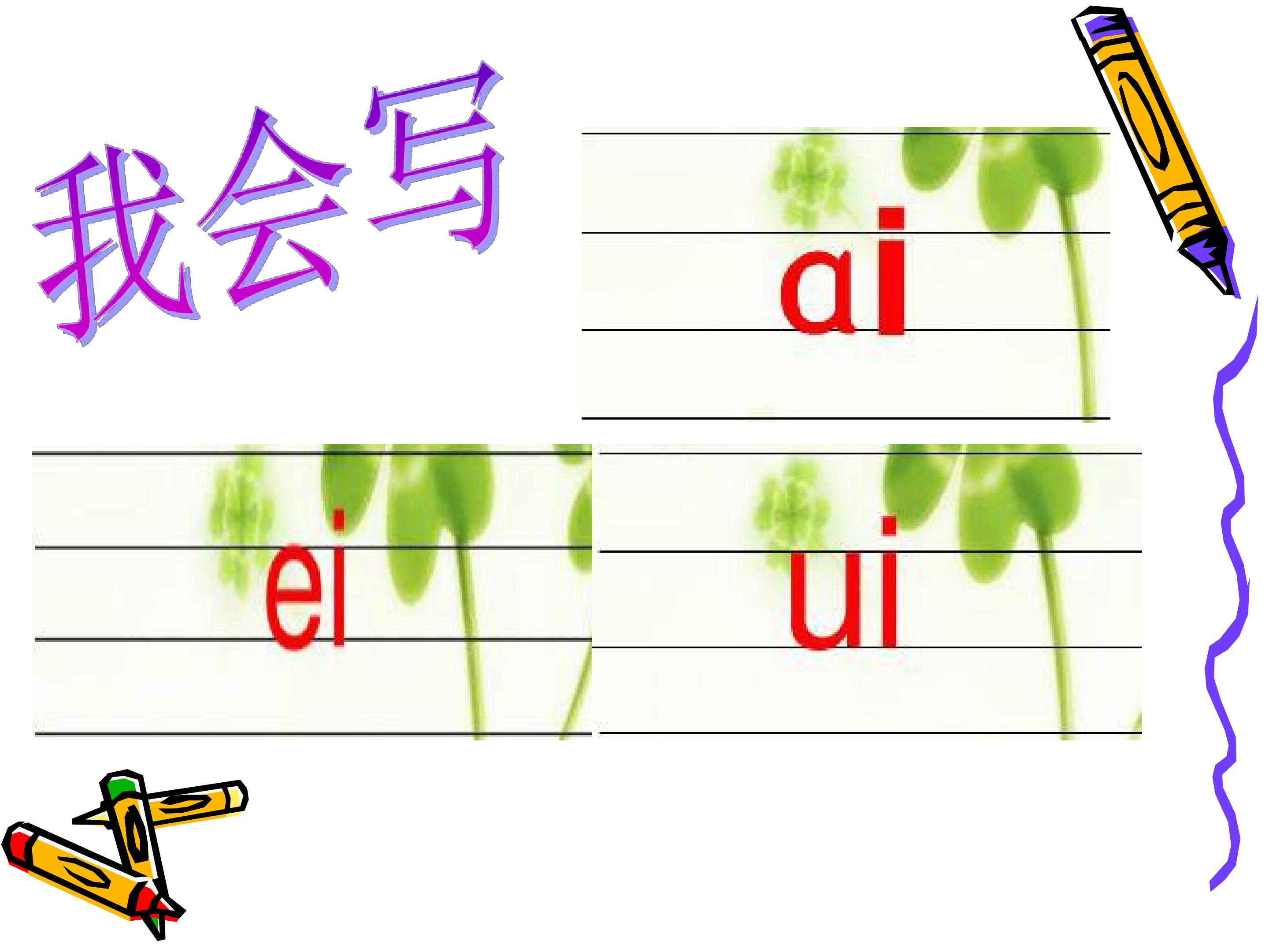 16.jpg