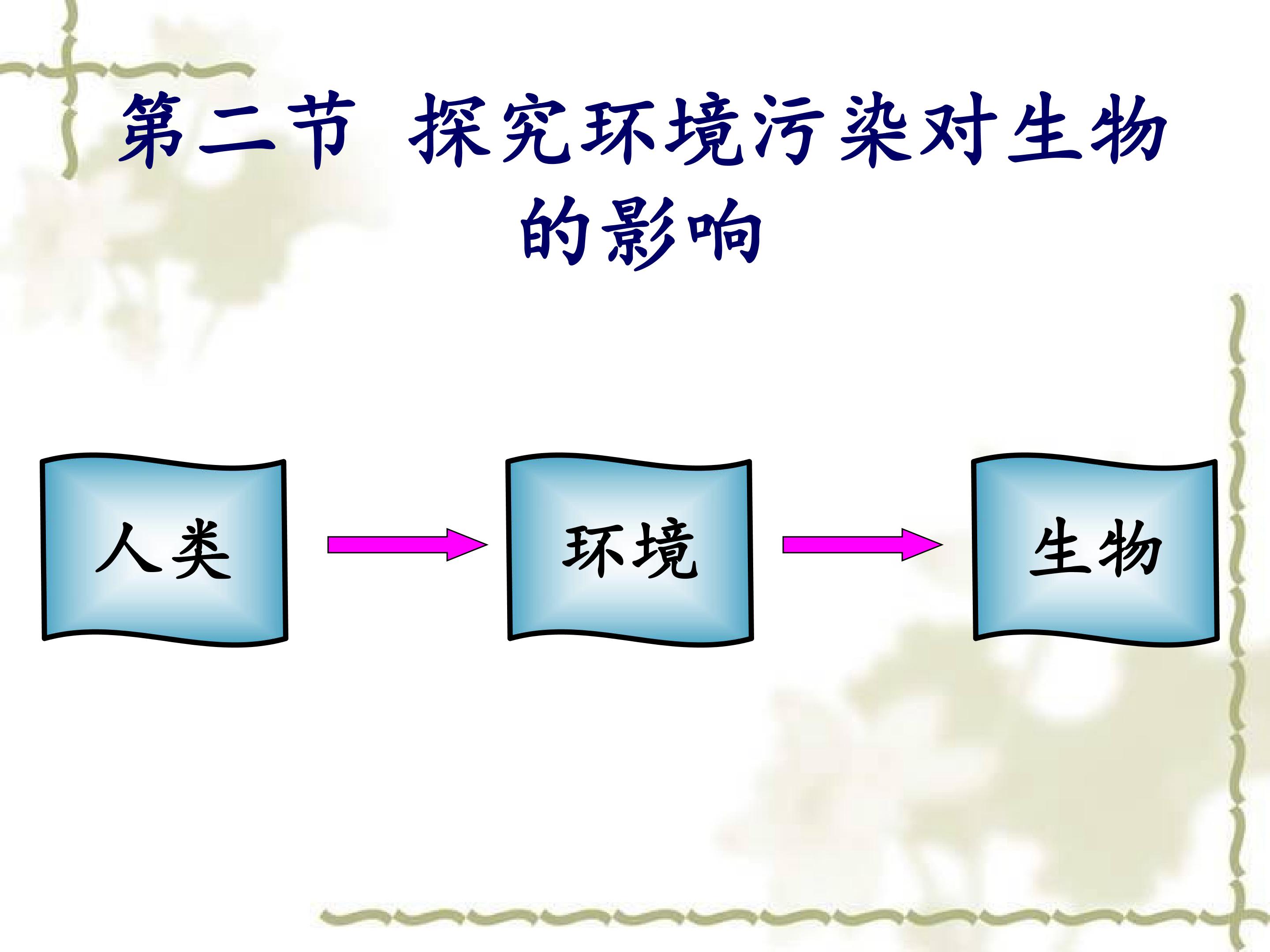 探究环境污染对生物的影响4