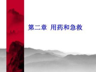 用药与急救3