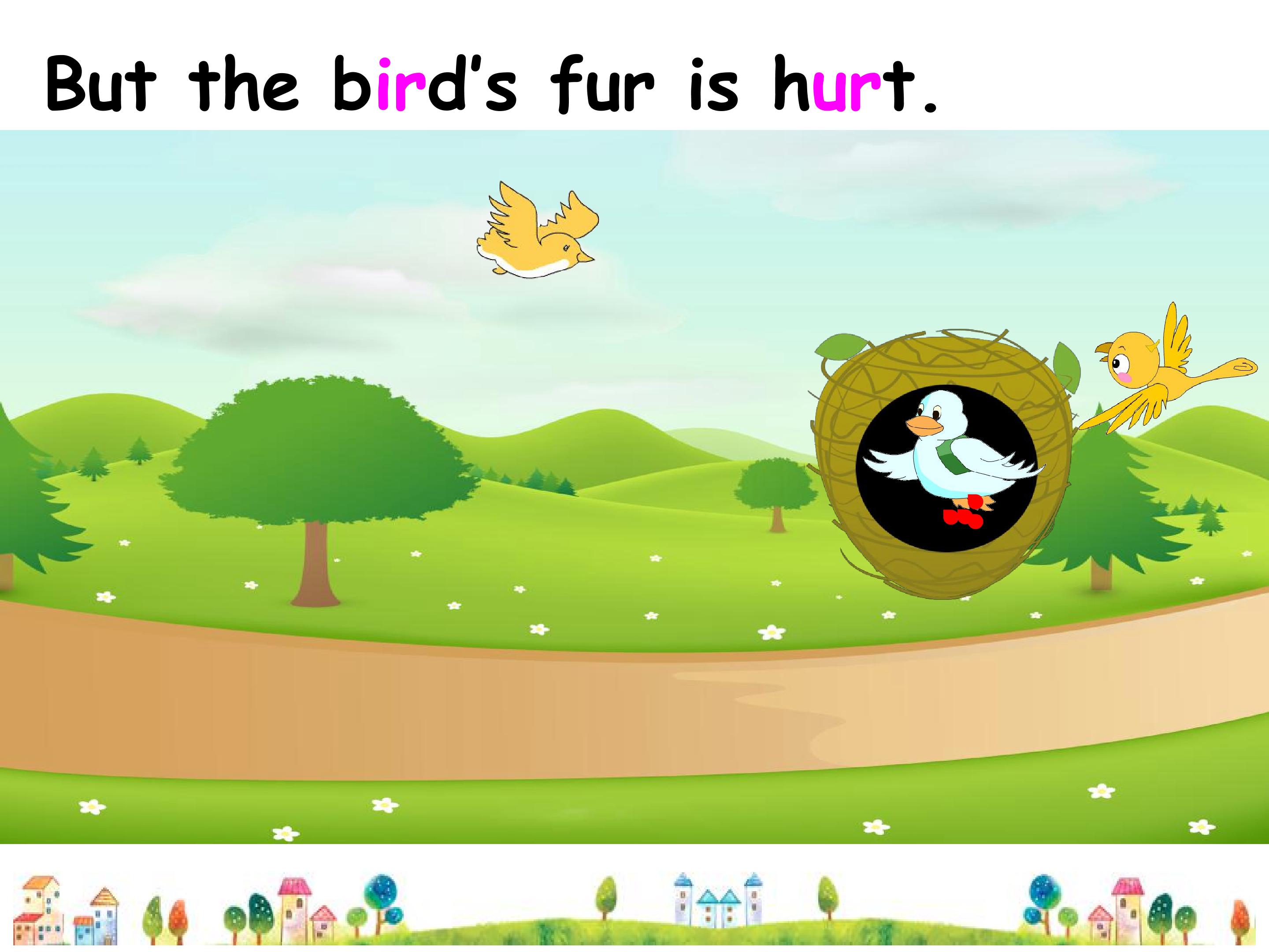 17.jpg