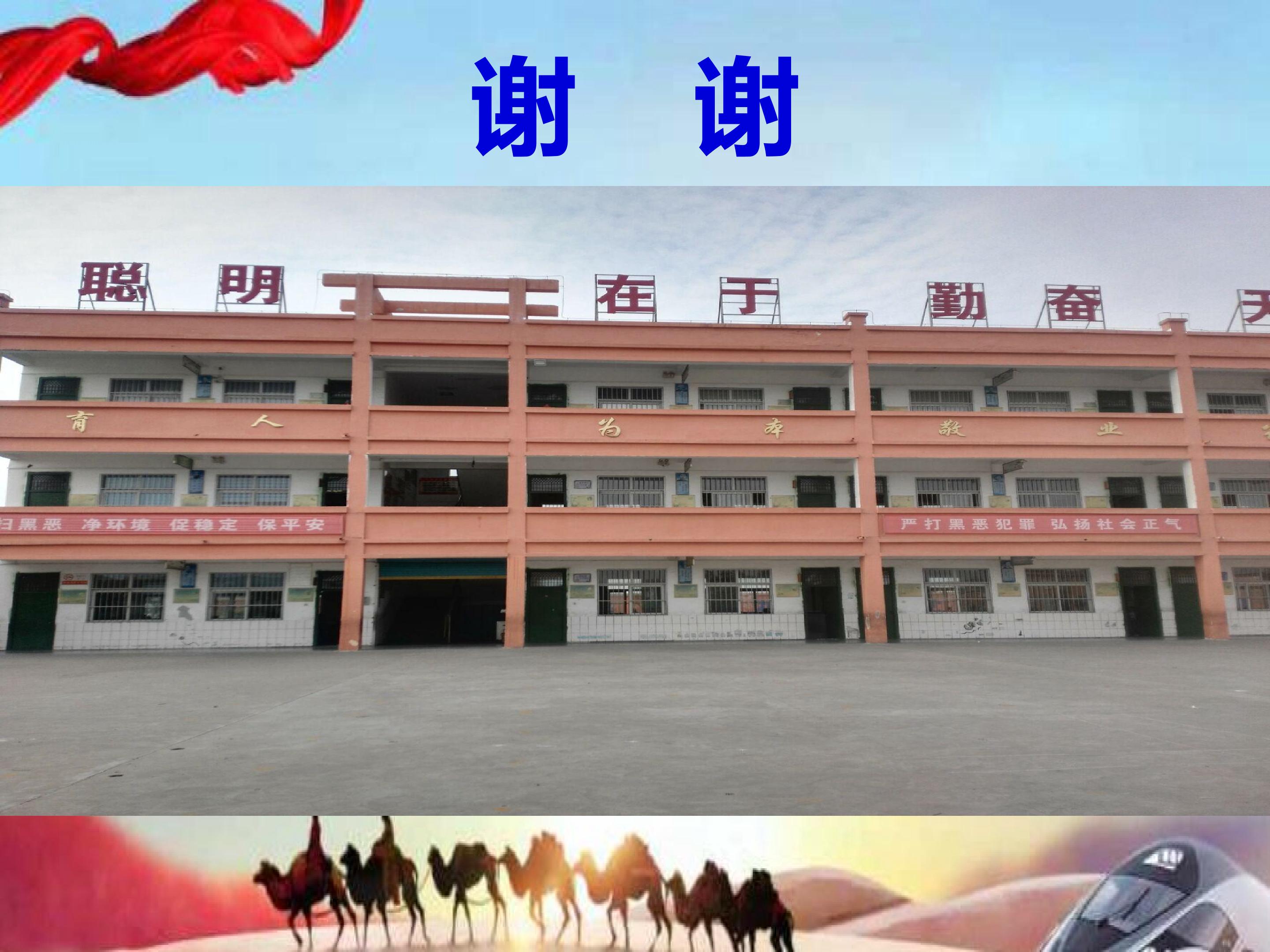 16.jpg
