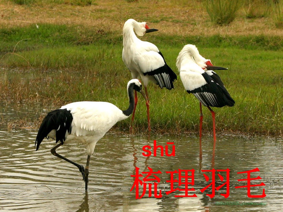 34.jpg