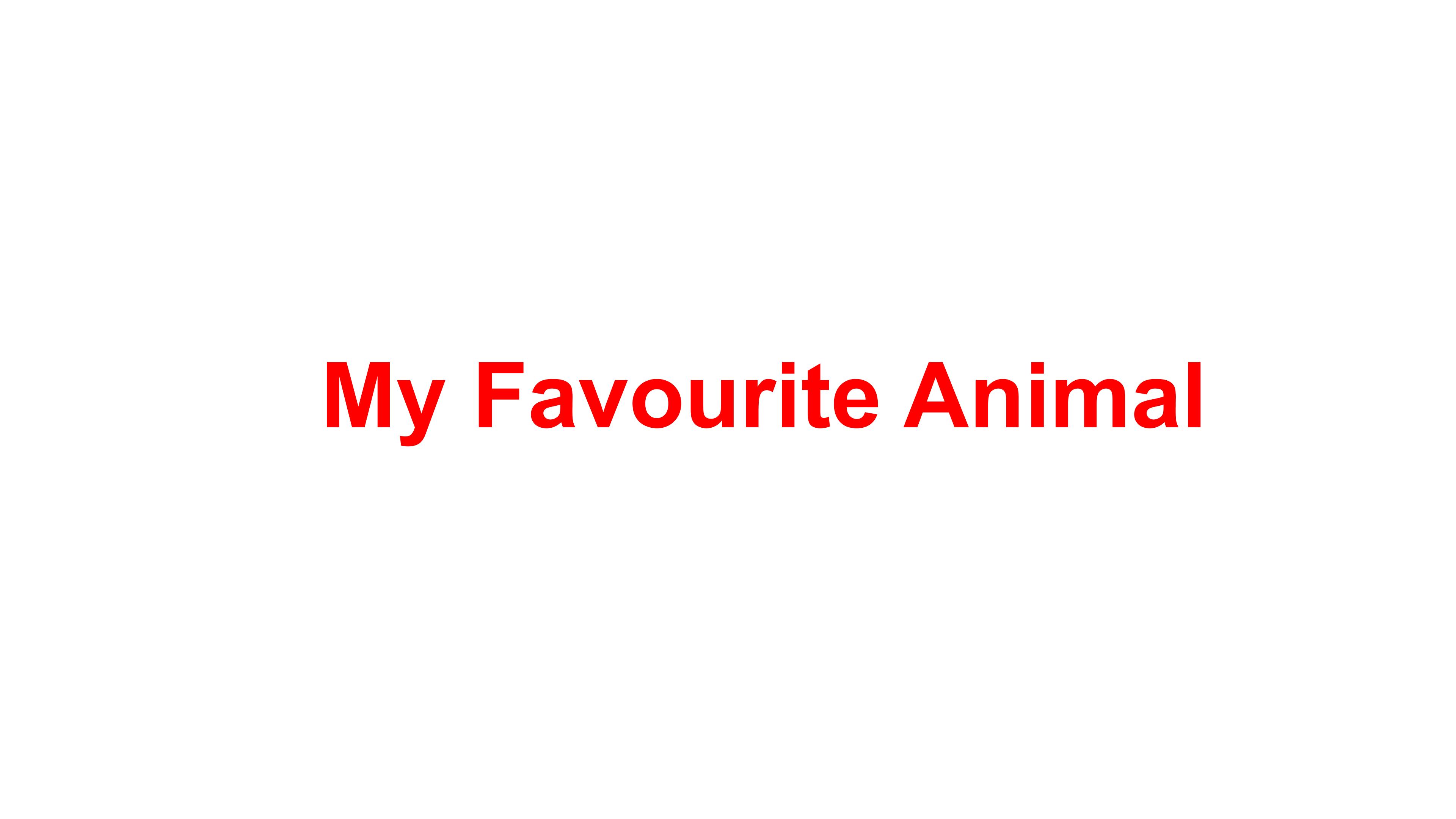 My Favourite Animal