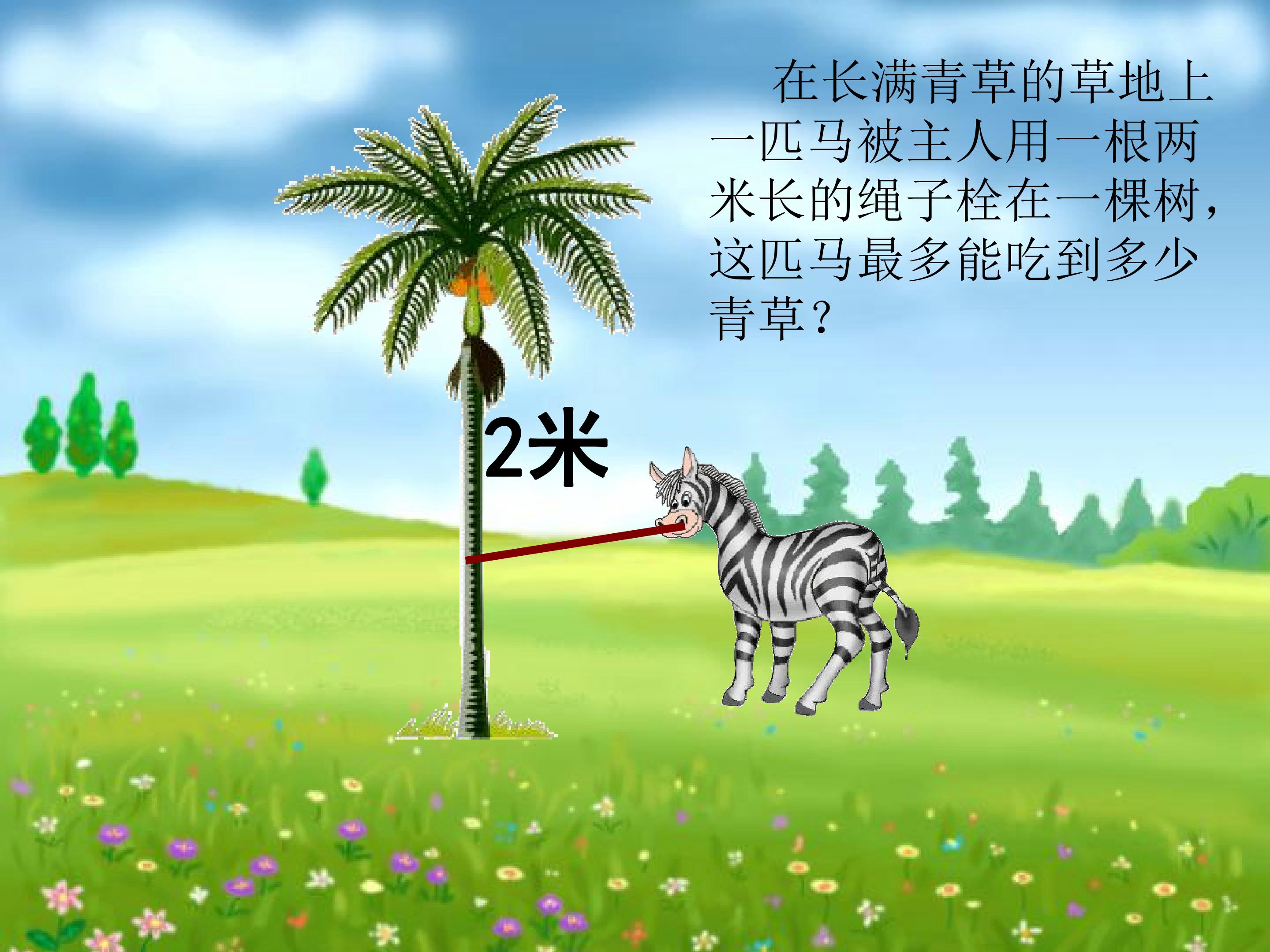 117.jpg