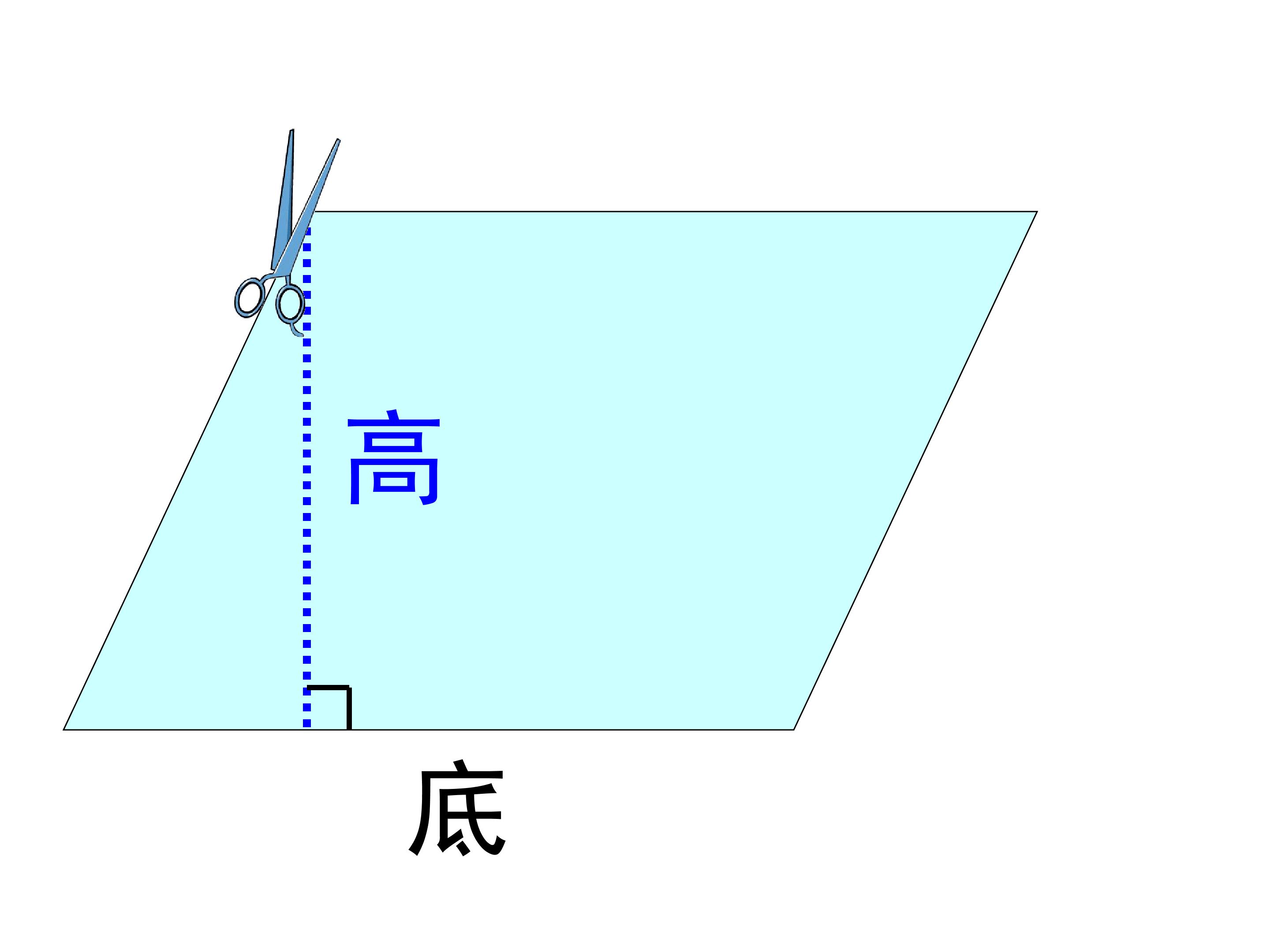 55.jpg