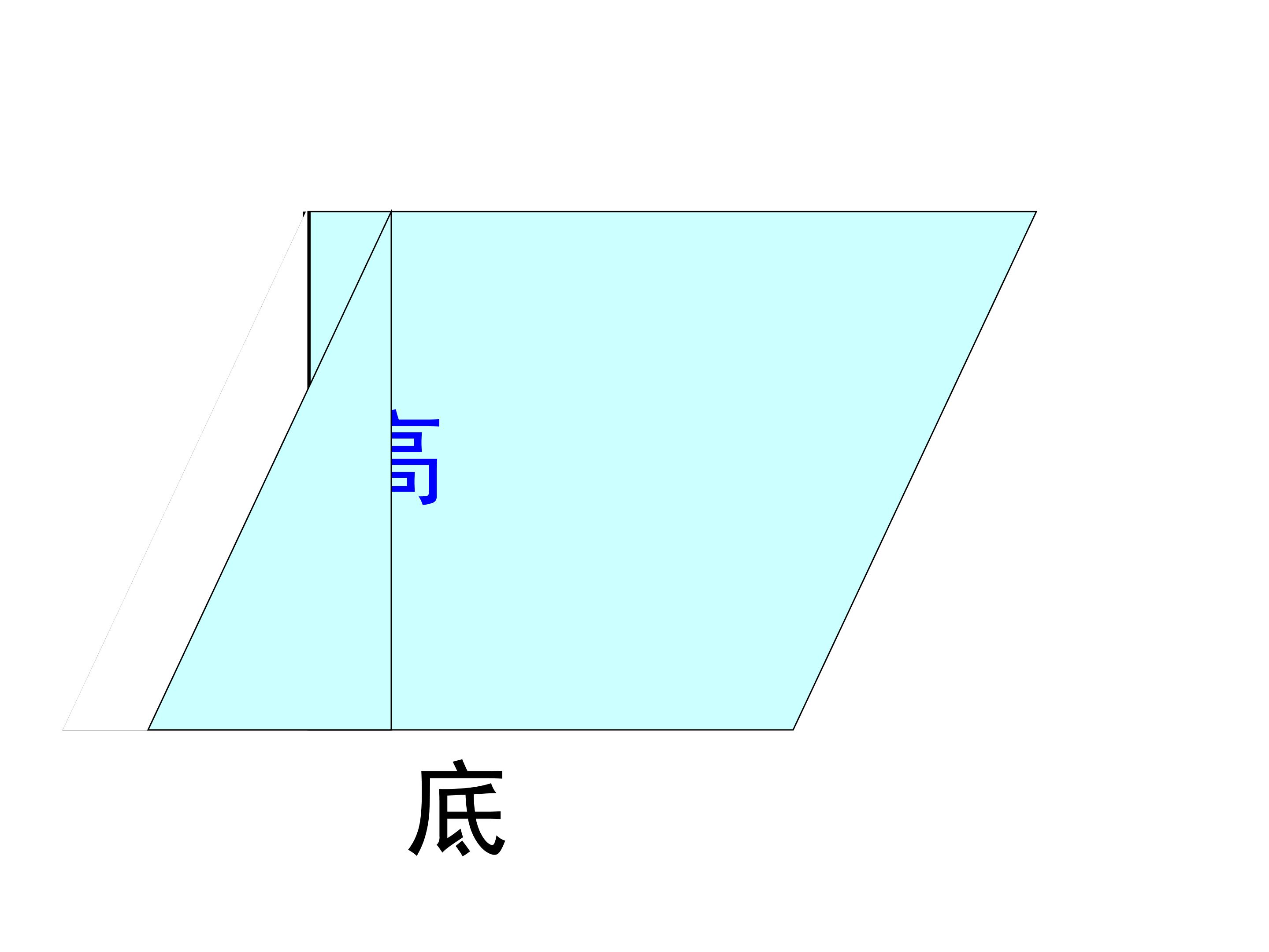 64.jpg