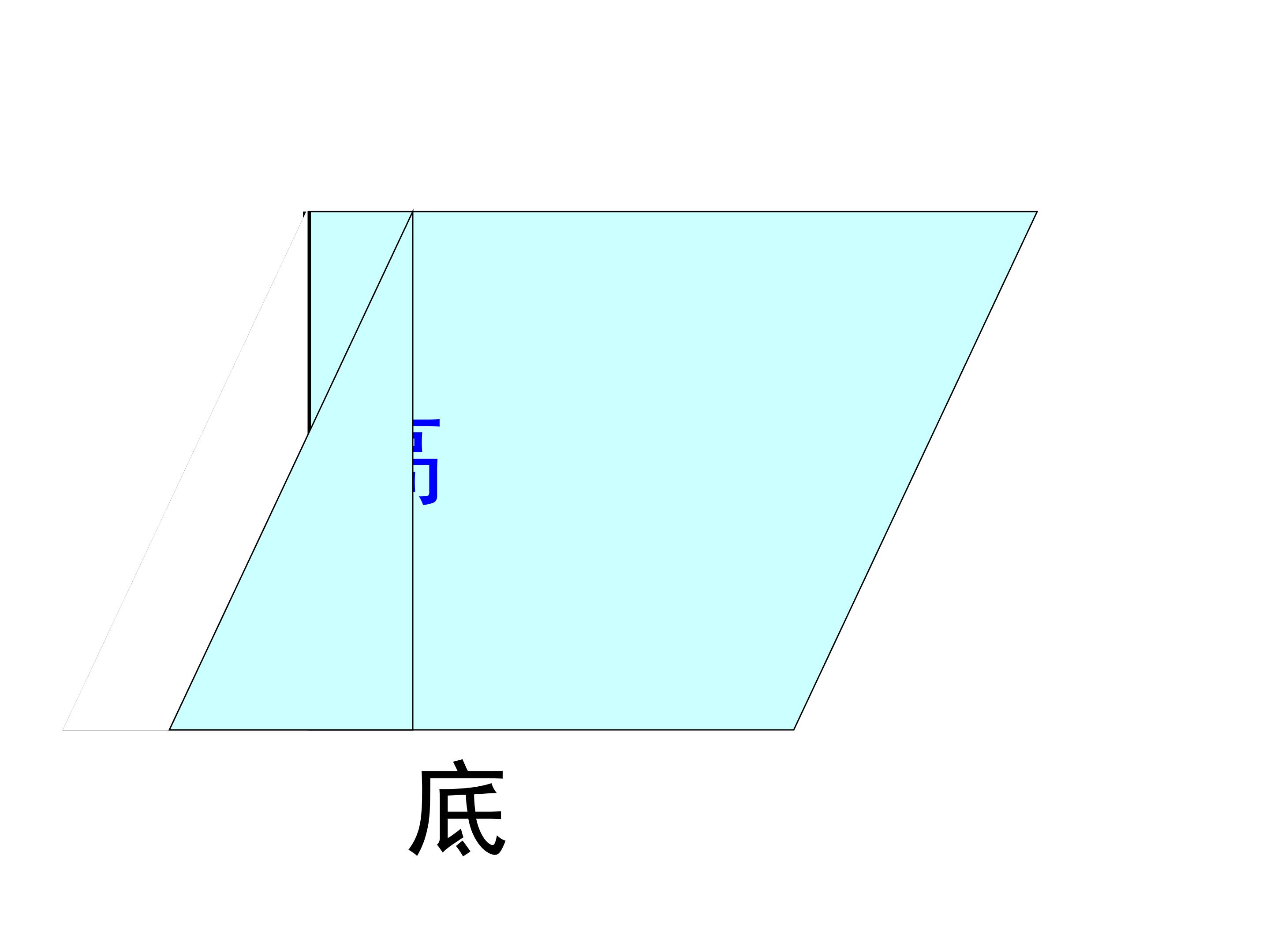65.jpg