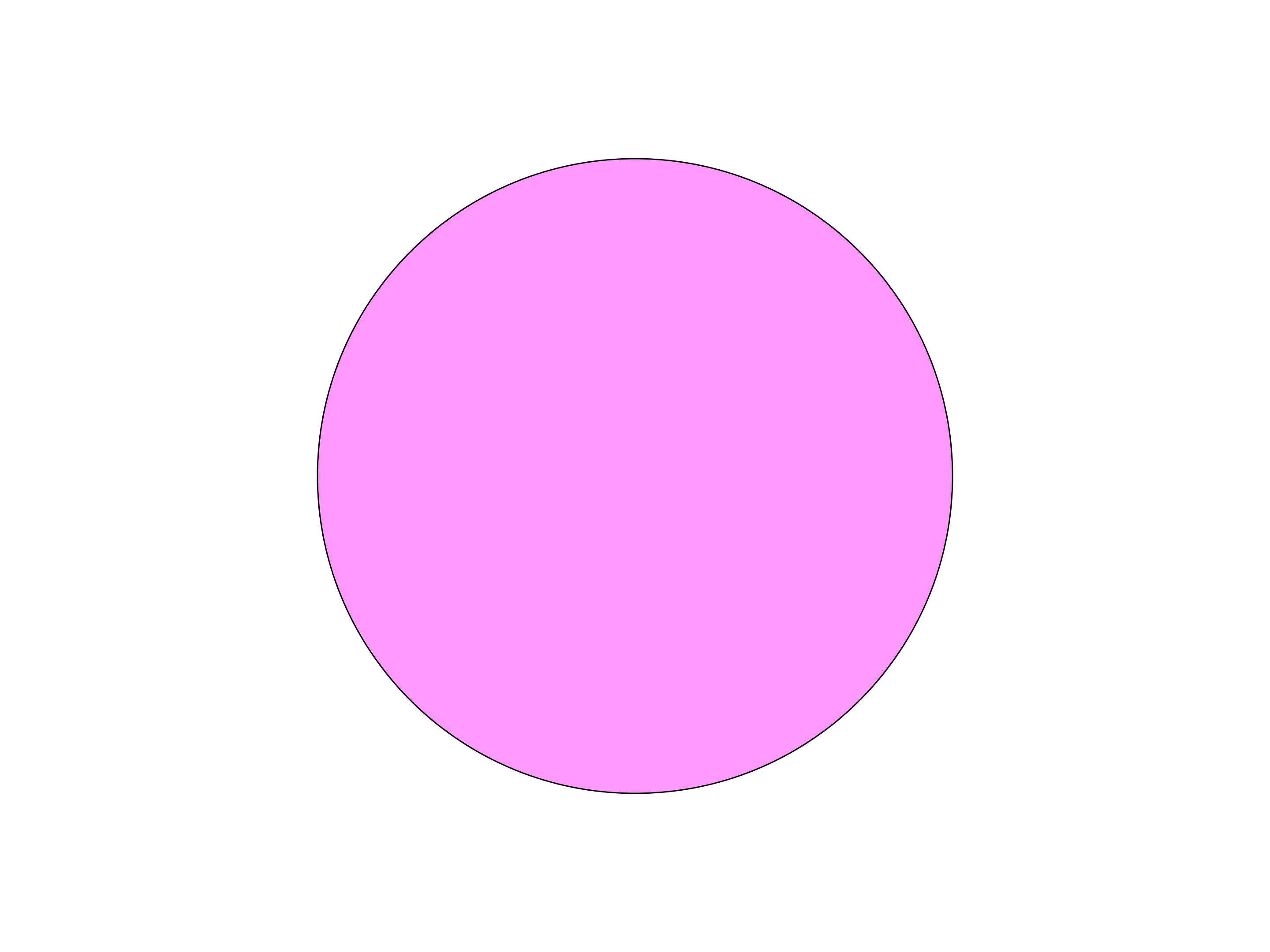 97.jpg