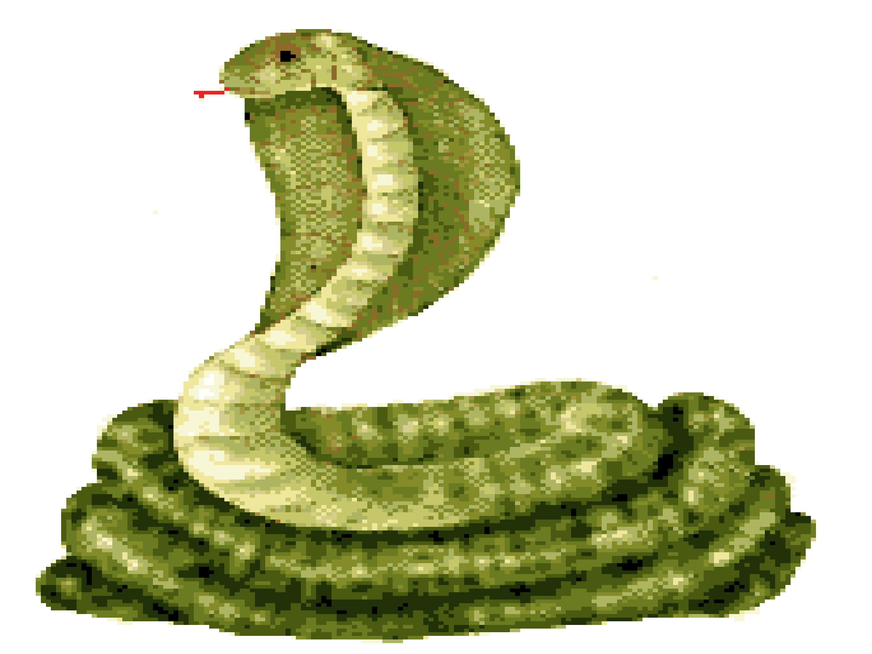 51.jpg