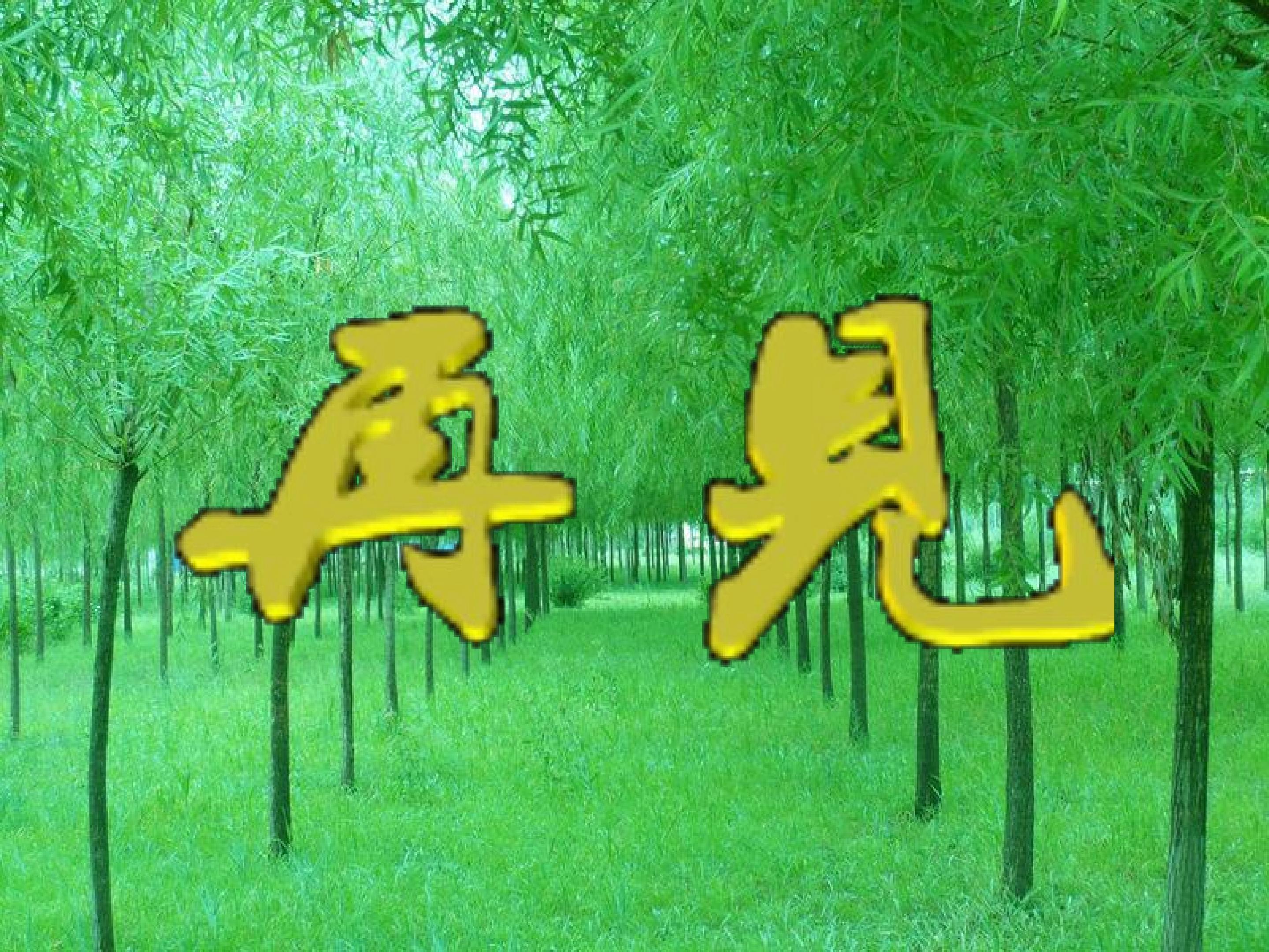 14.jpg