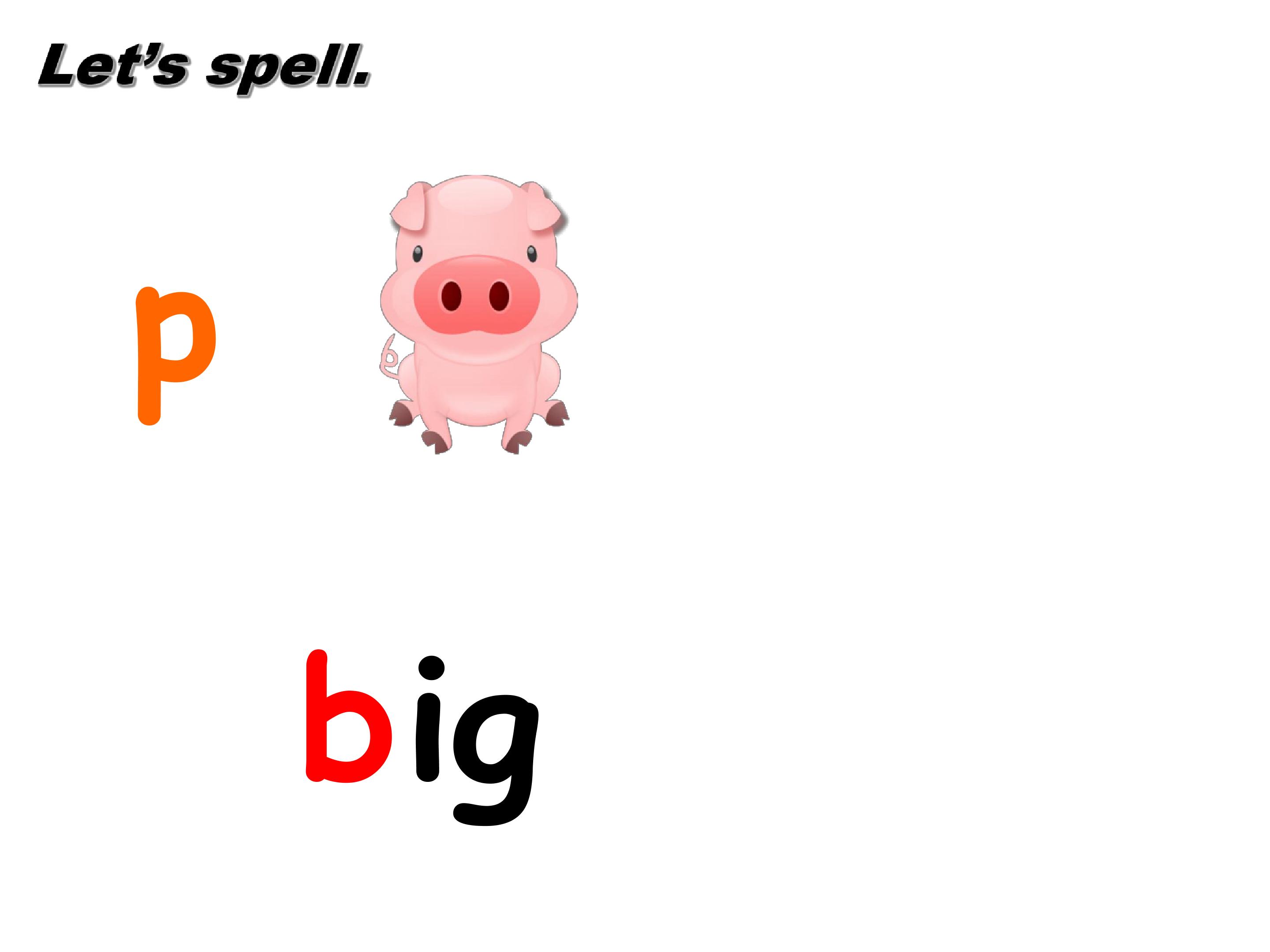 24.jpg