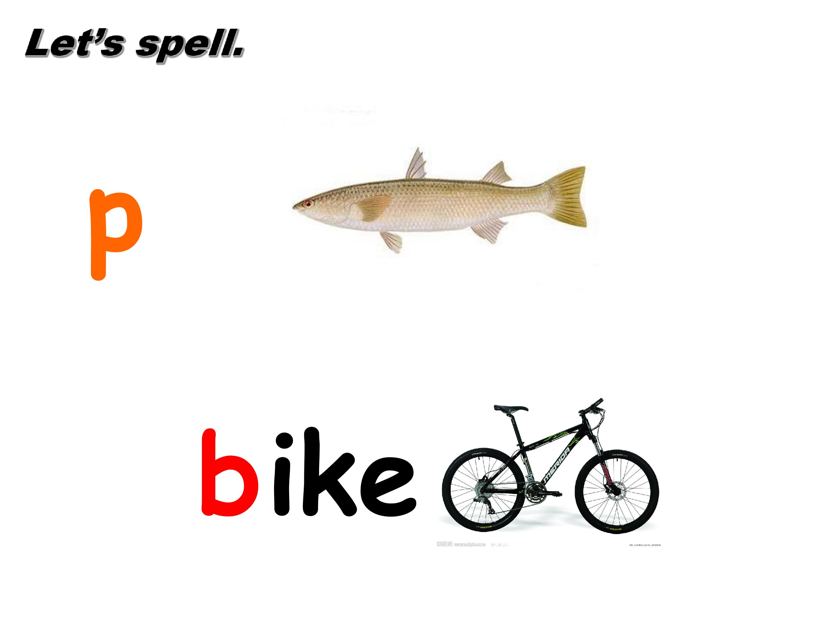 26.jpg