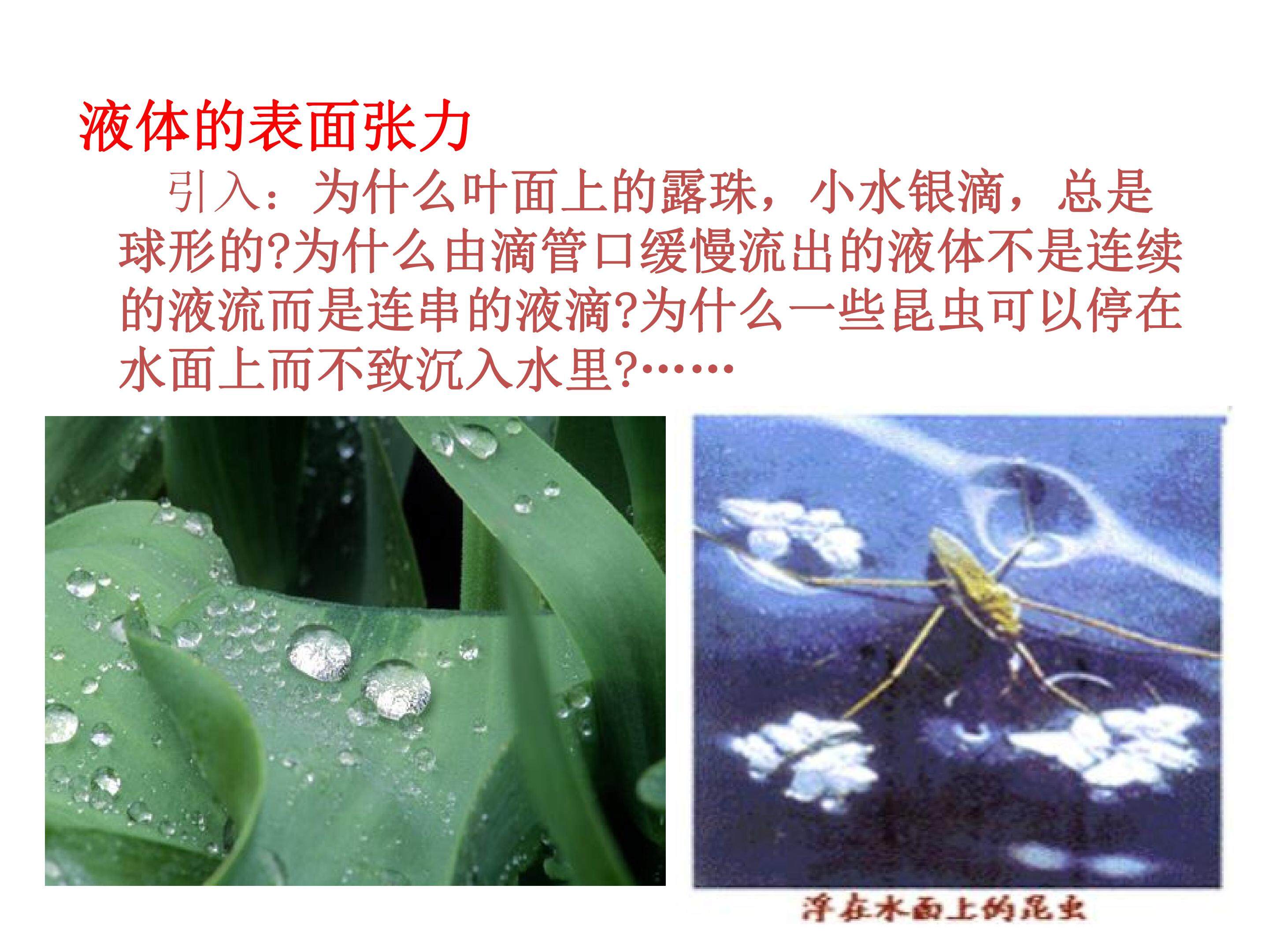 液体的表面张力