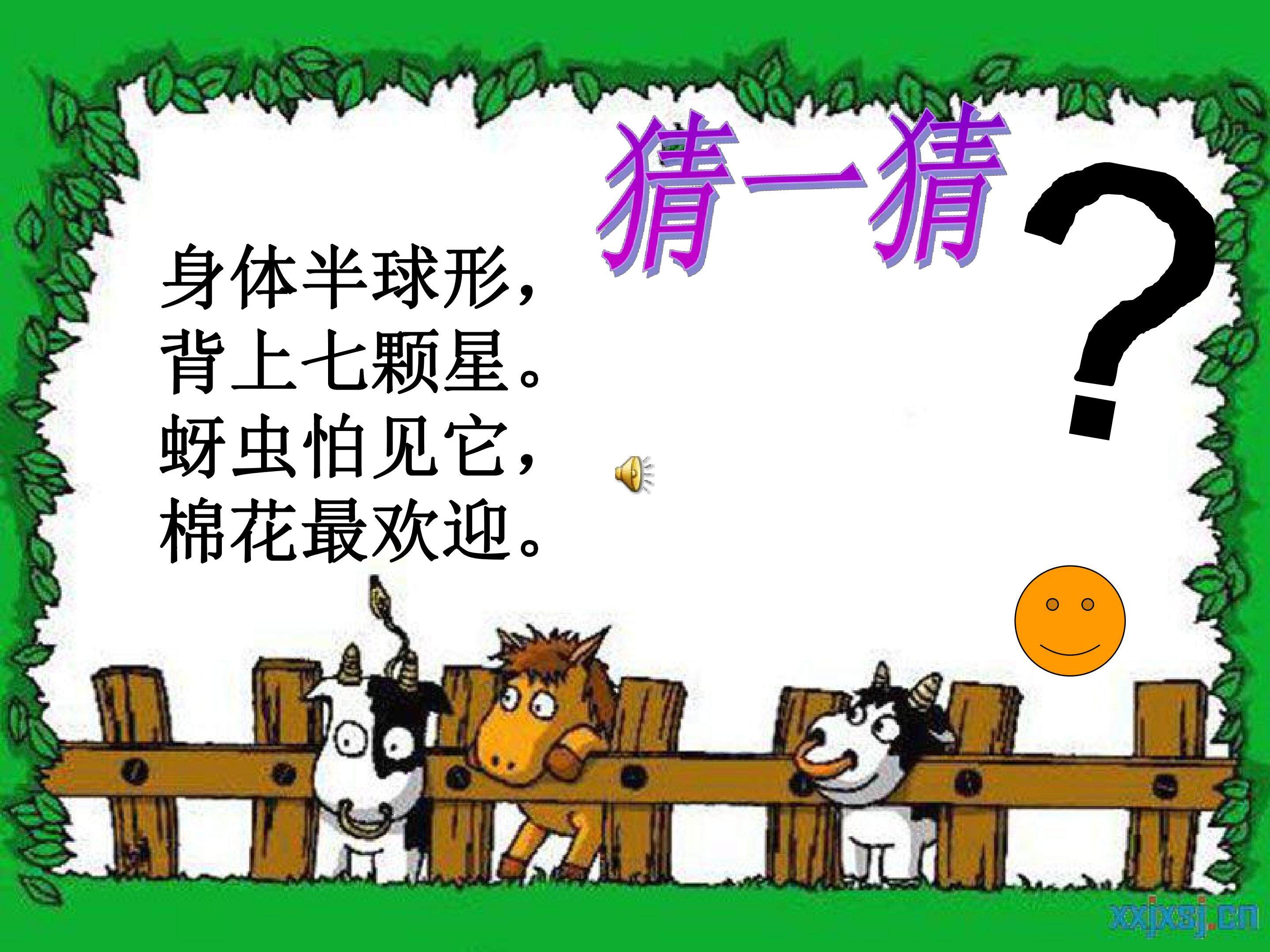 瓢虫的花衣裳