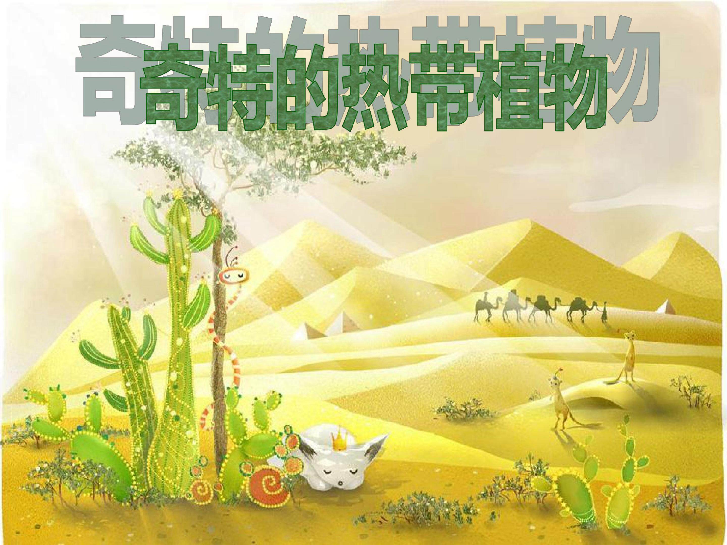 奇特的热带植物