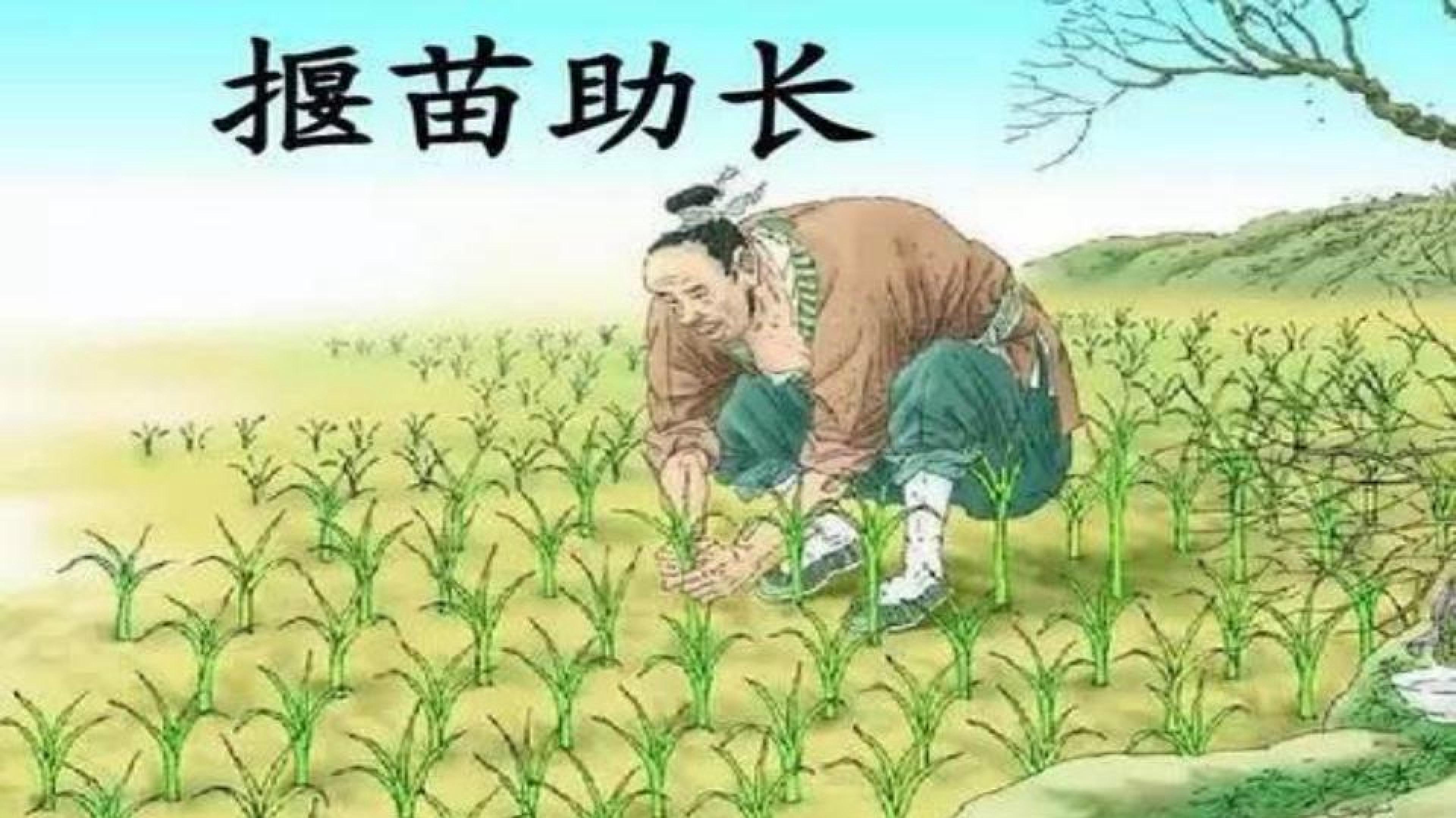 揠苗助长