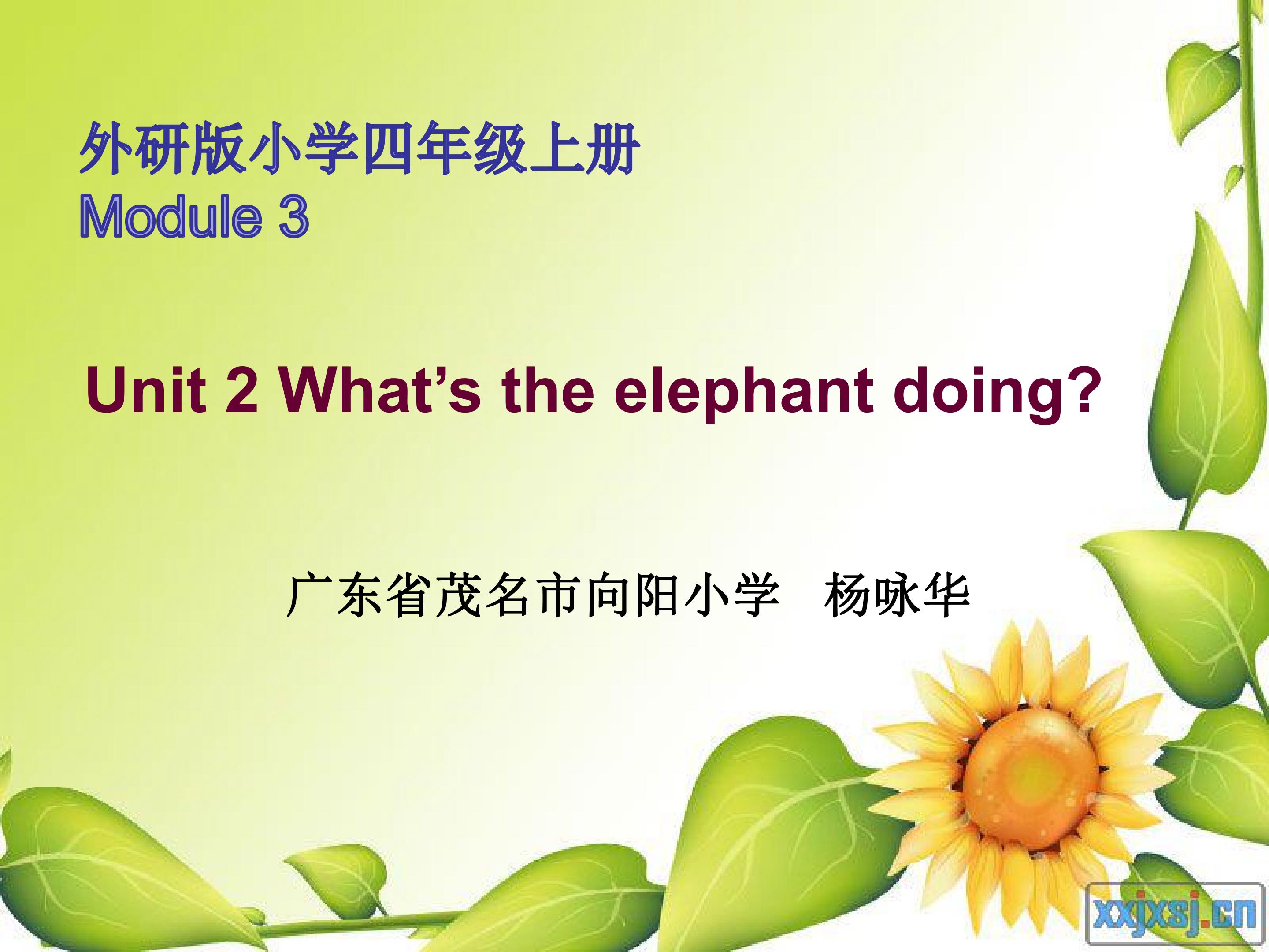 What‘s the elephant doing？