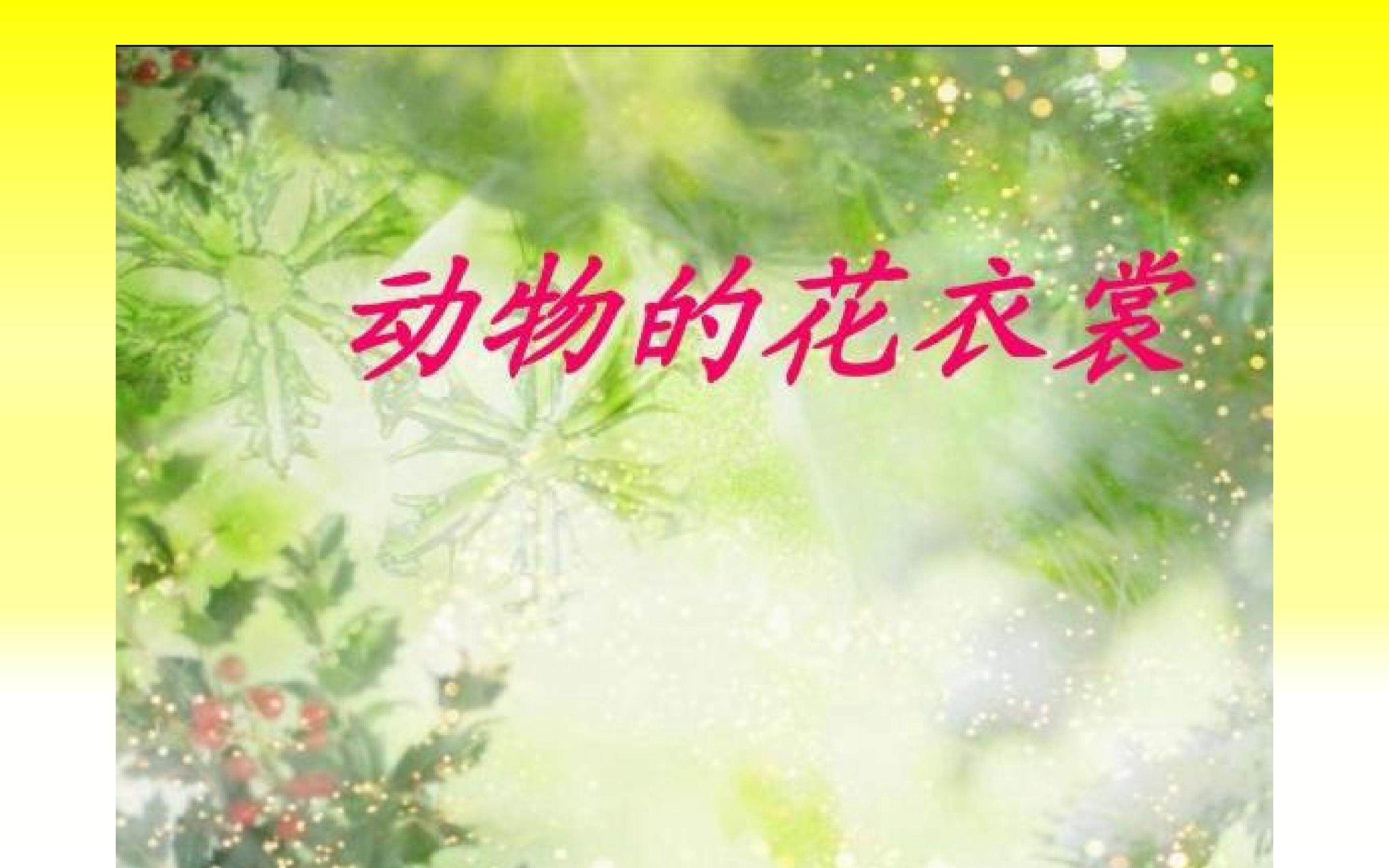动物的花衣裳
