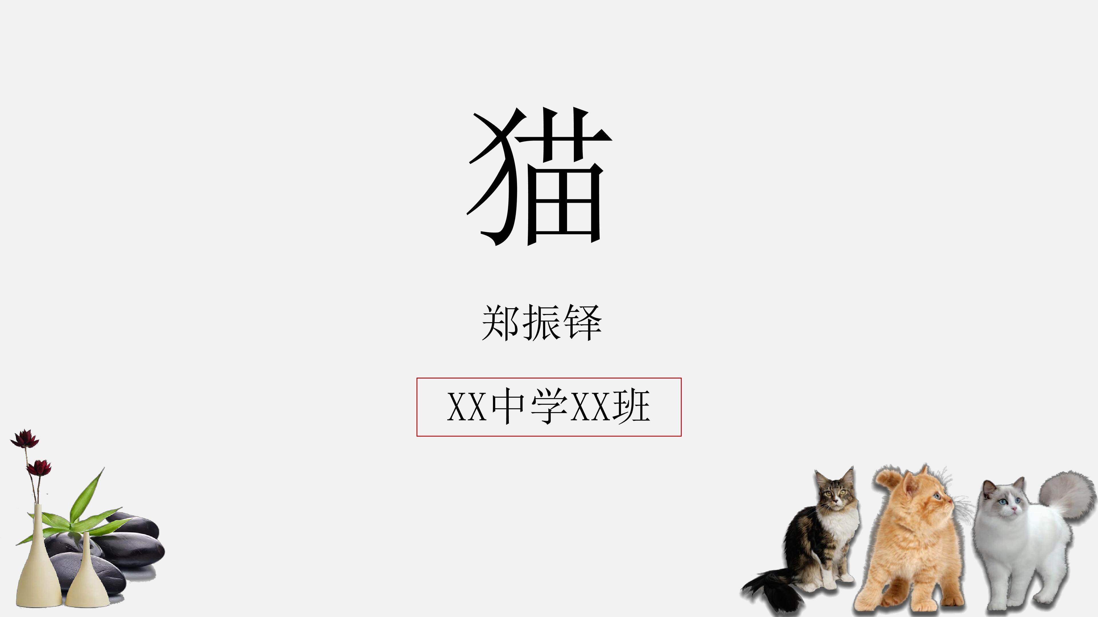猫
