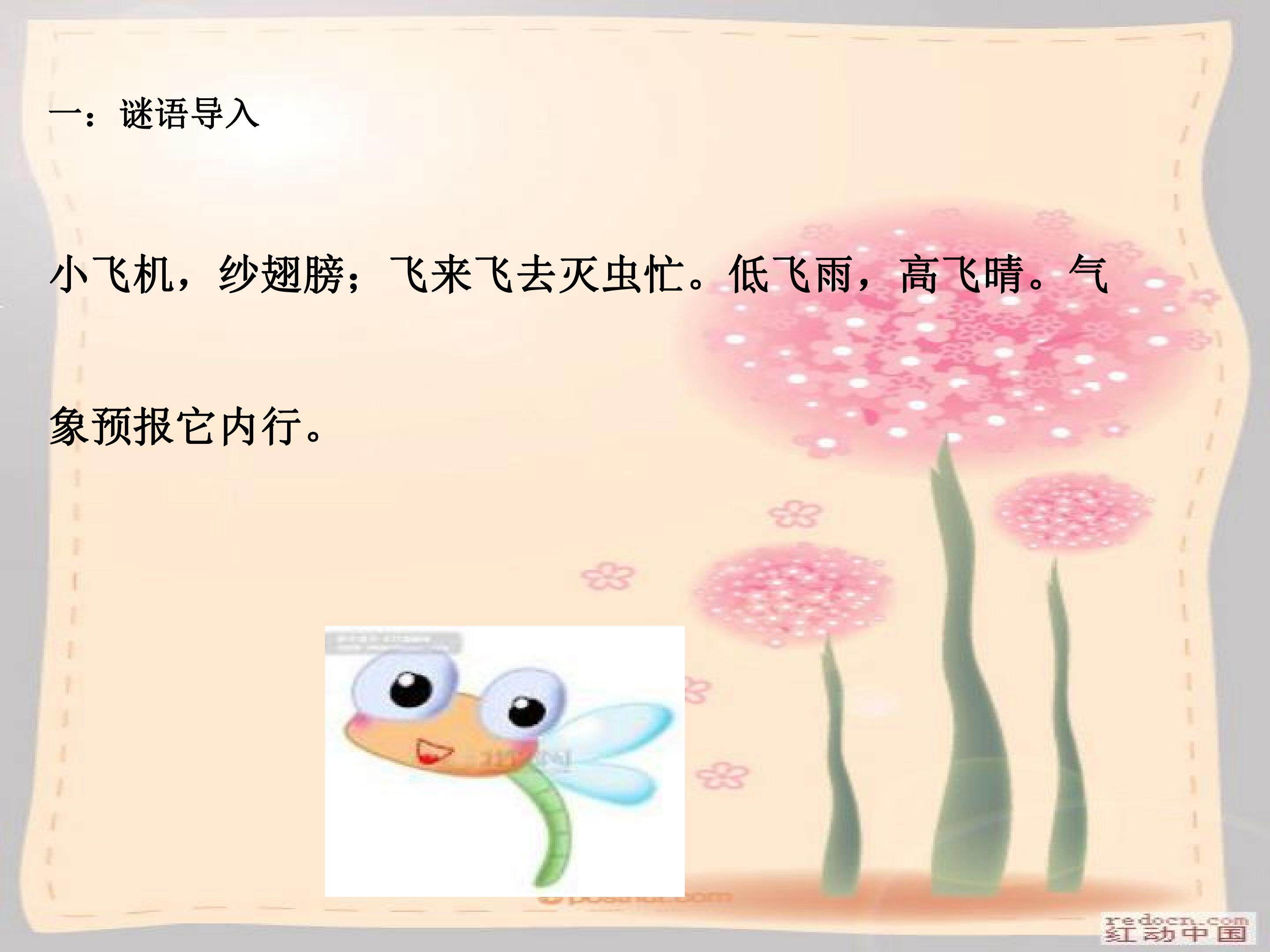 蜻蜓飞飞