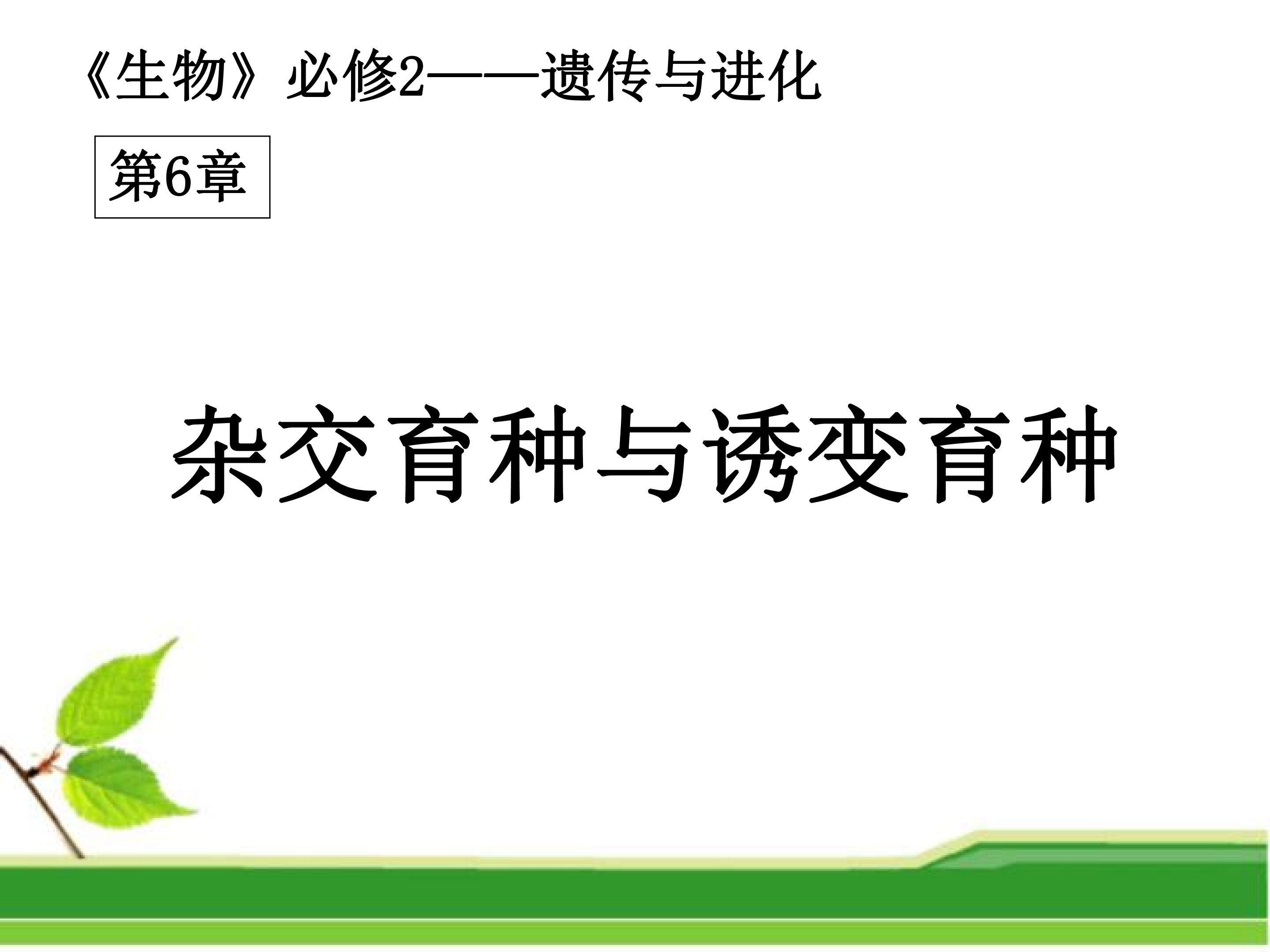 杂交育种与诱变育种