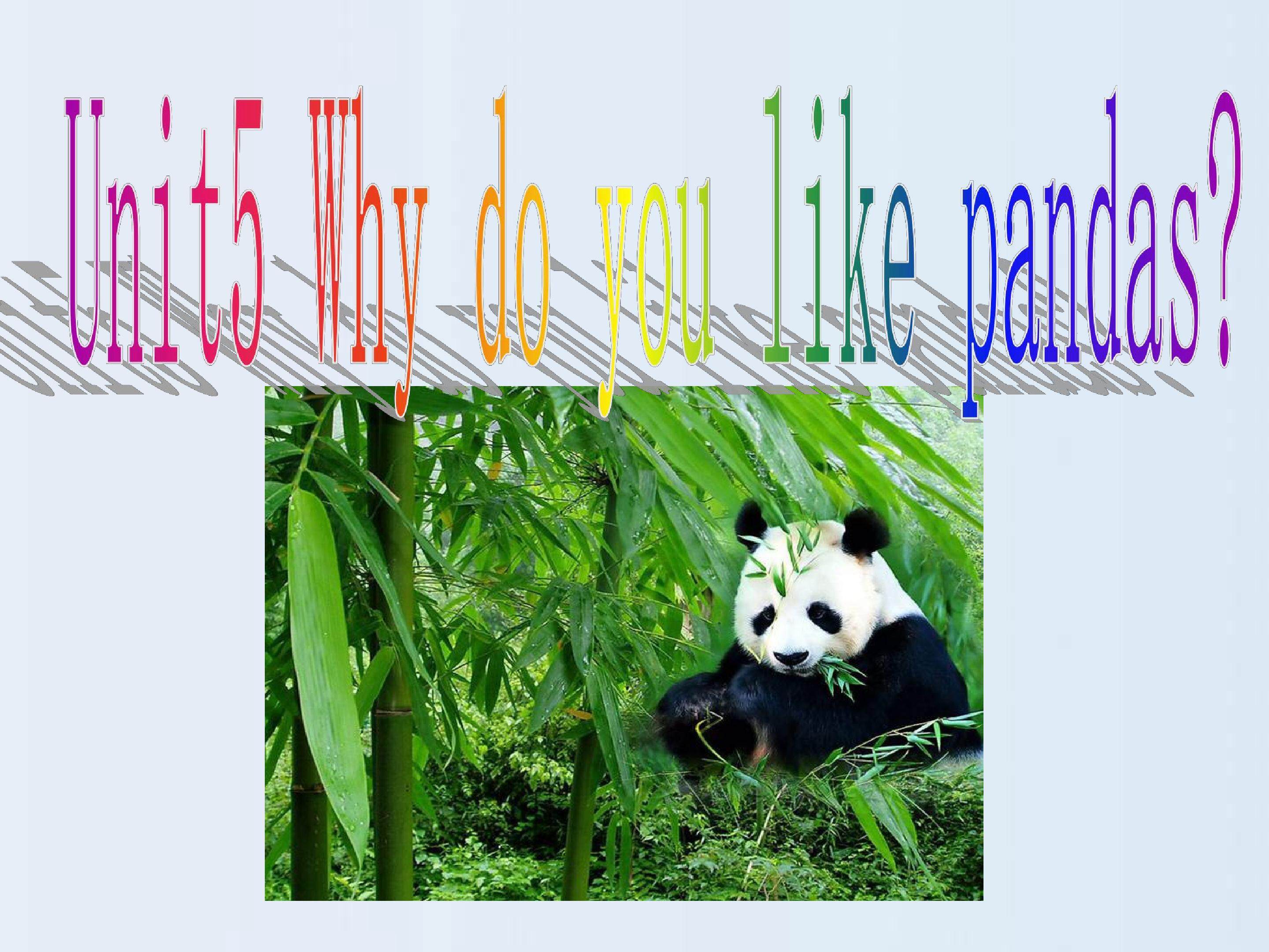 Why do you like pandas SectionA