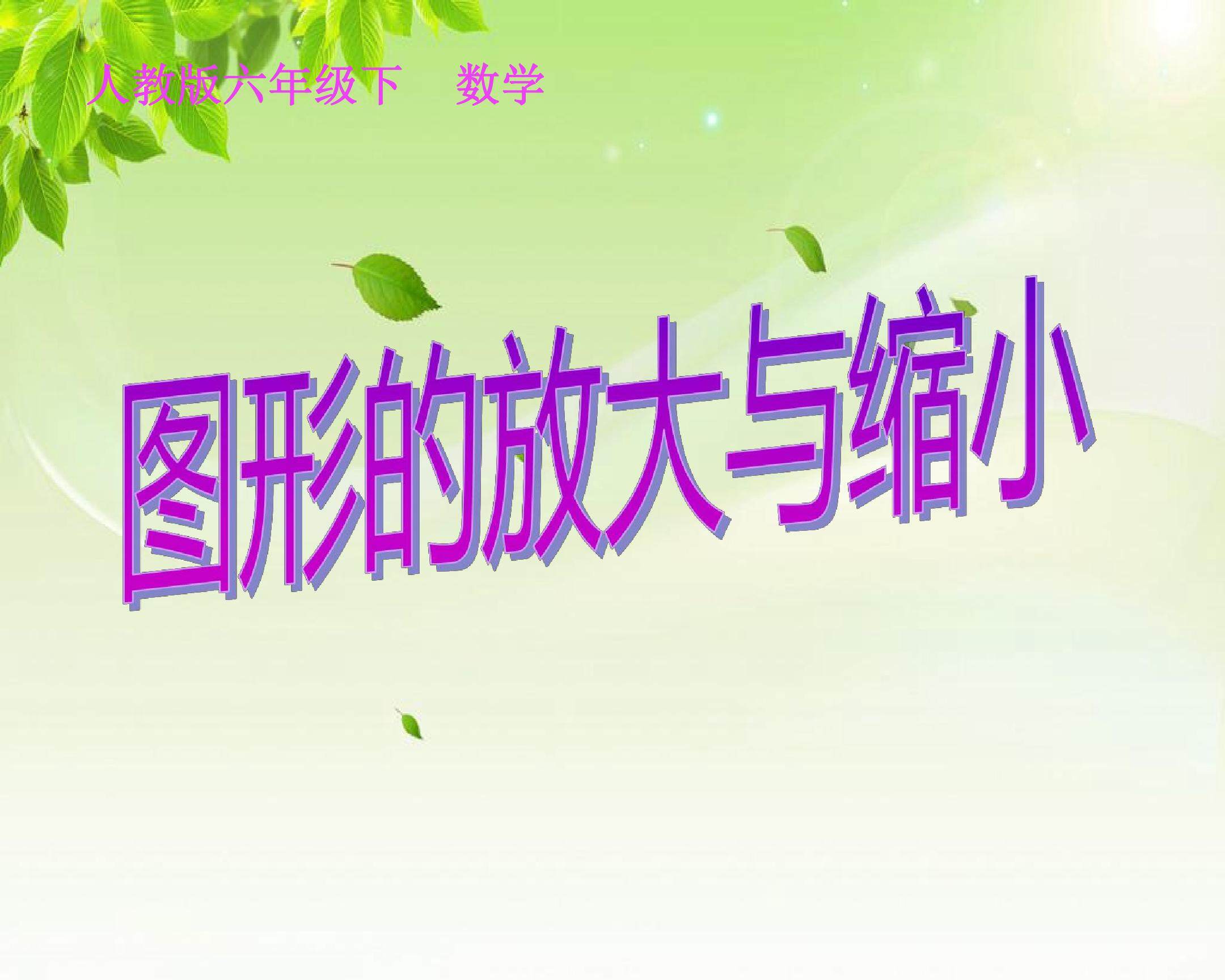 图形的放大与缩小