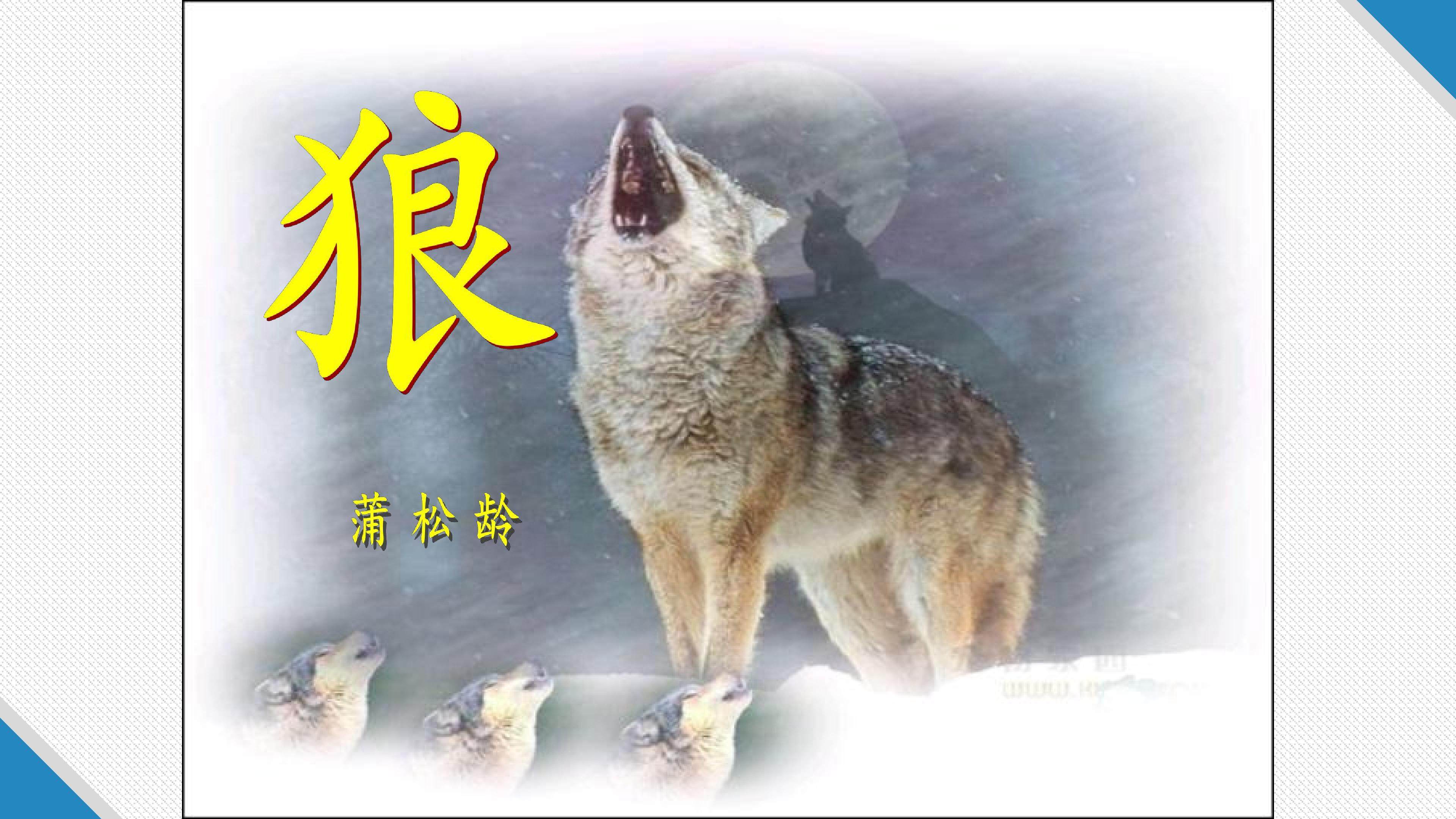 狼