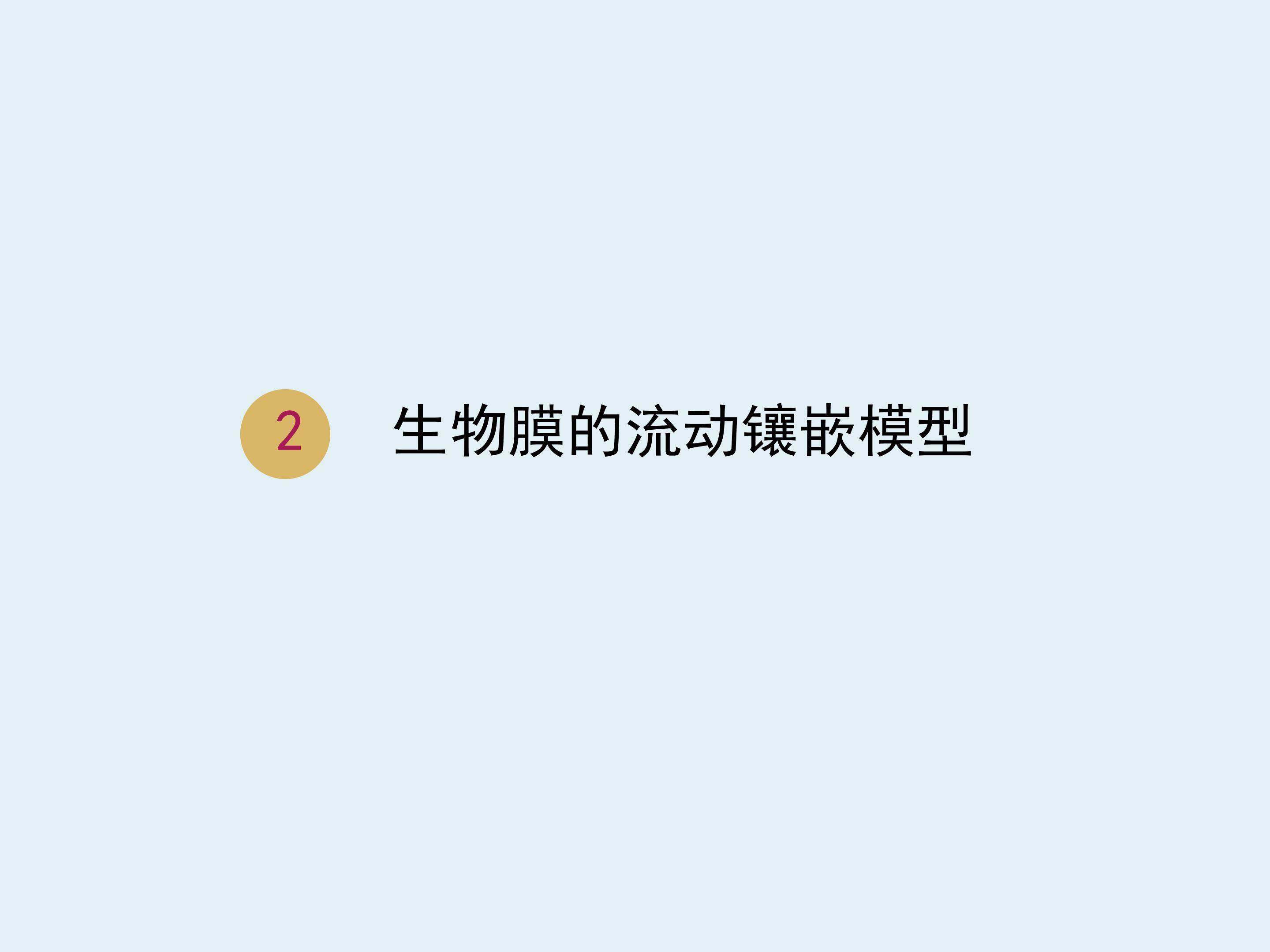 生物膜的流动镶嵌模型