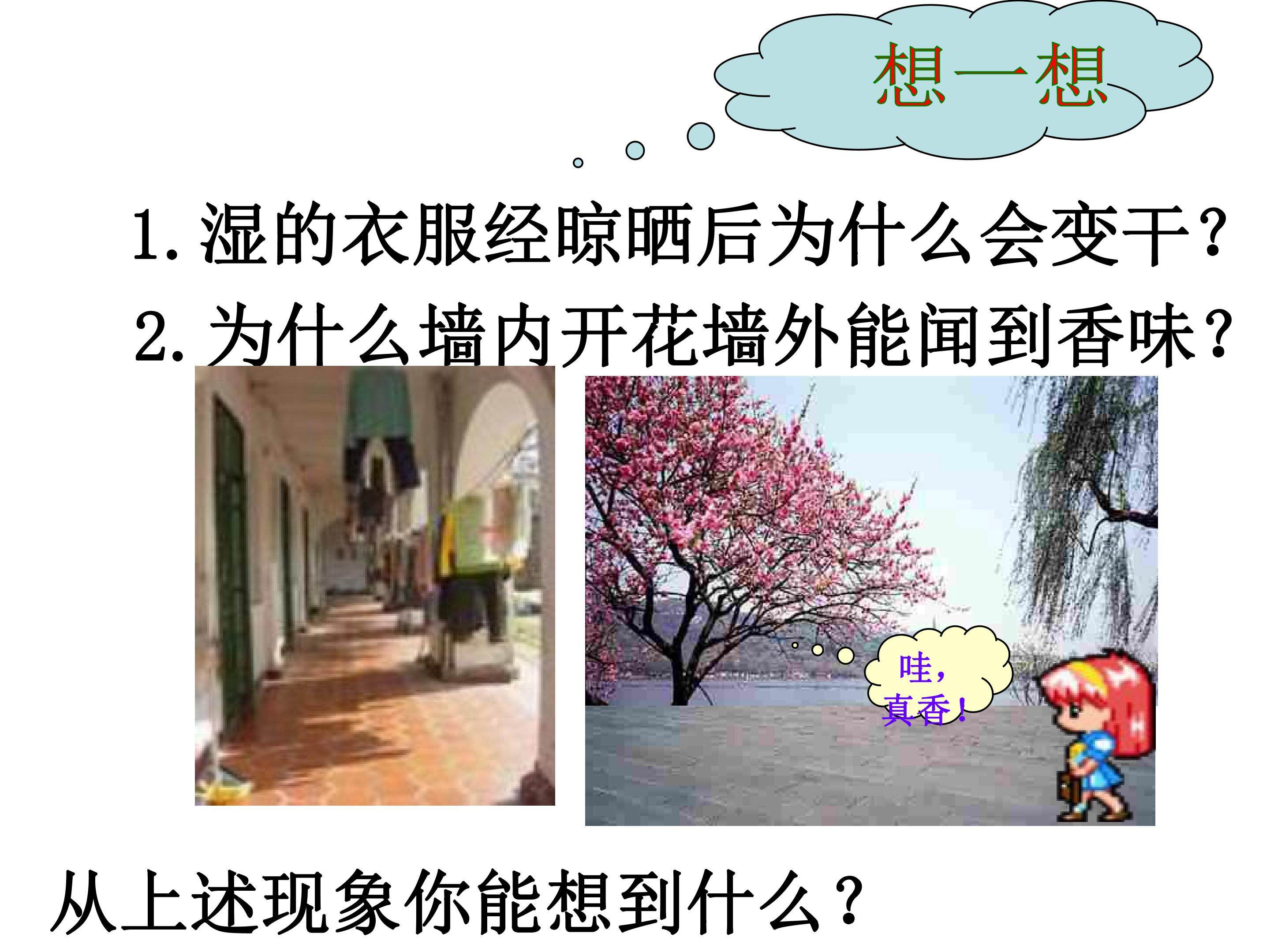 分子和原子