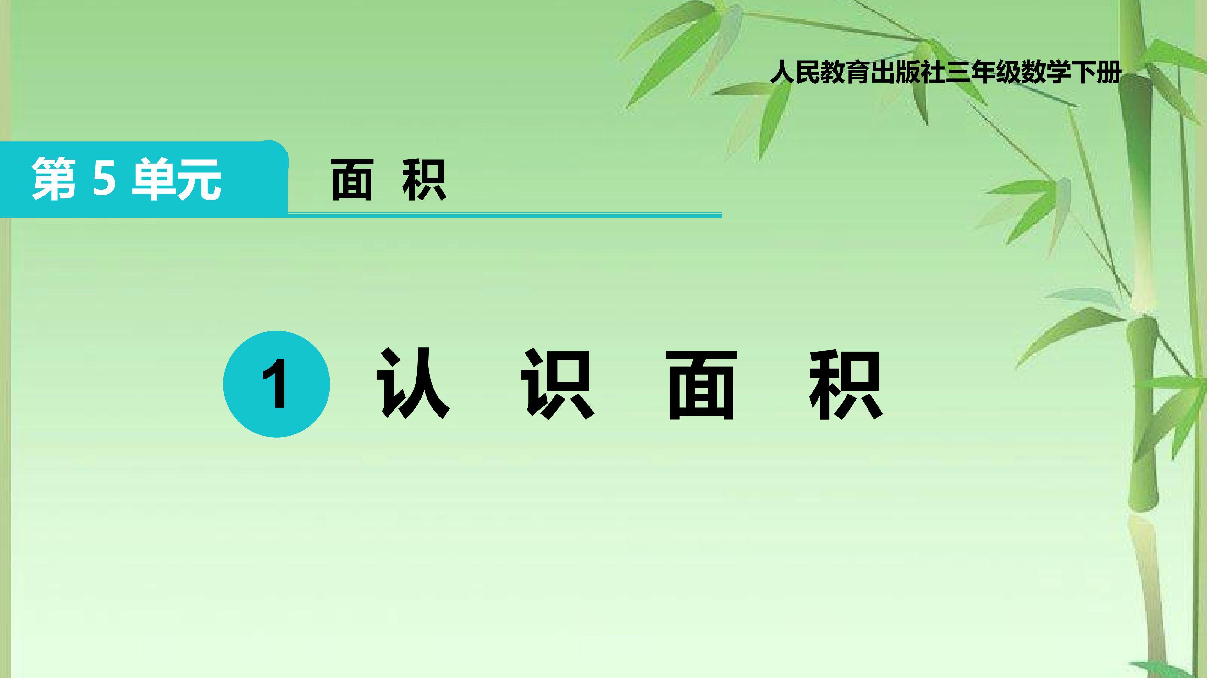 认识面积
