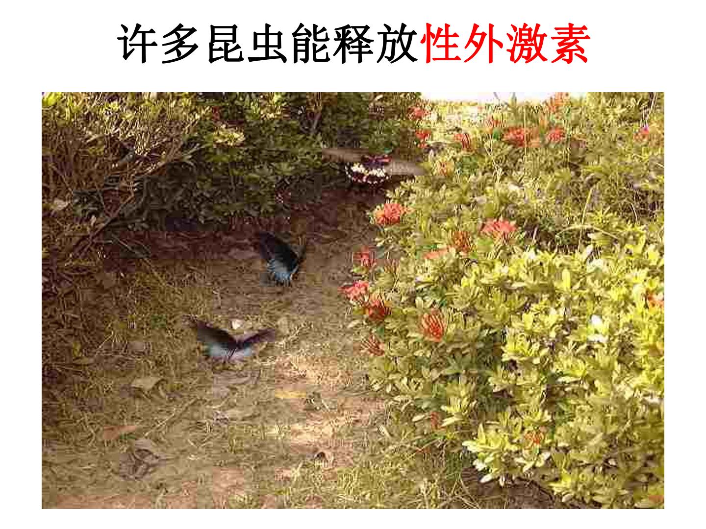 25.jpg