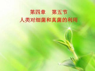 人类对细菌和真菌的利用5