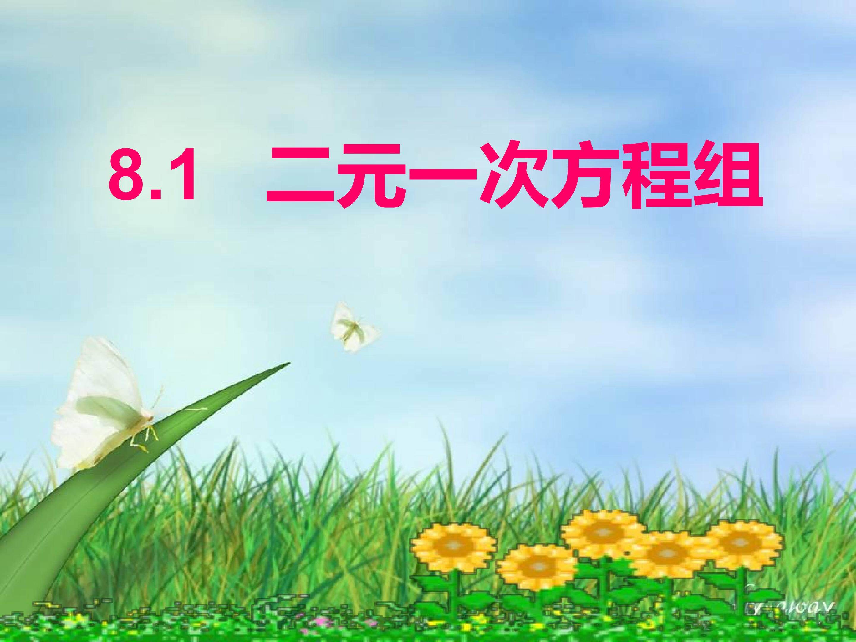 二元一次方程组